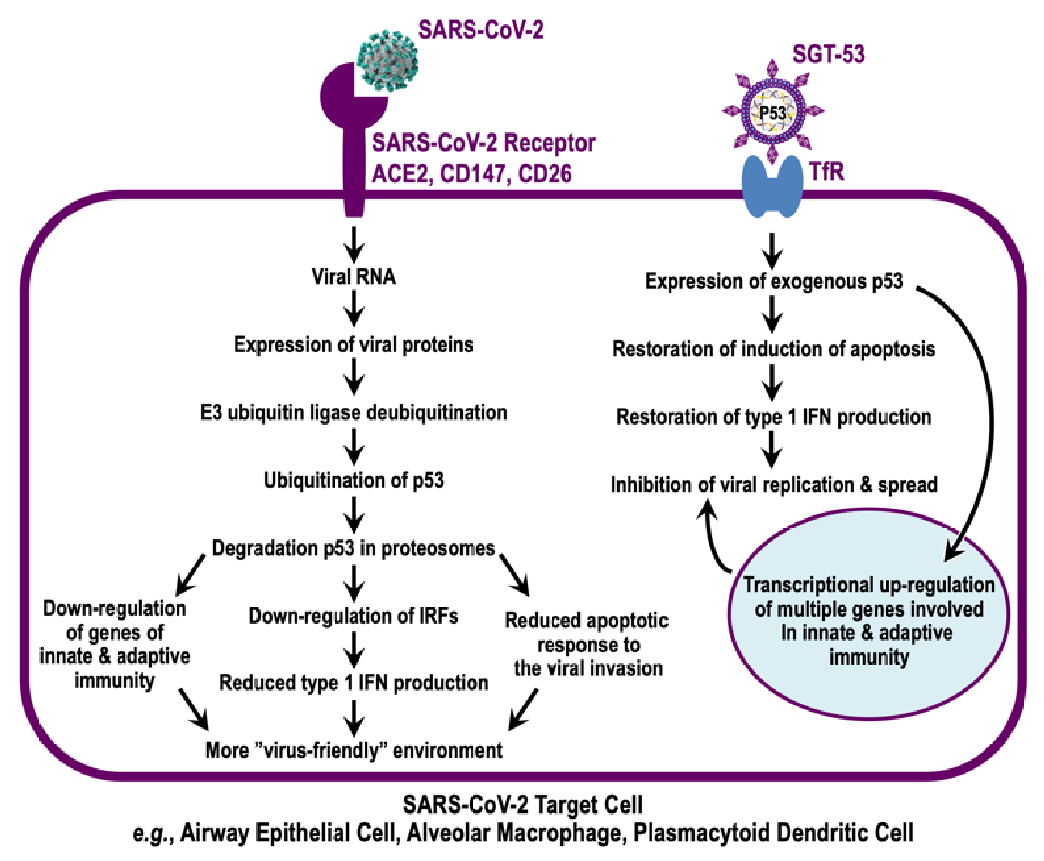 Viruses 14 00739 g004 Viruses 14 00739 g004