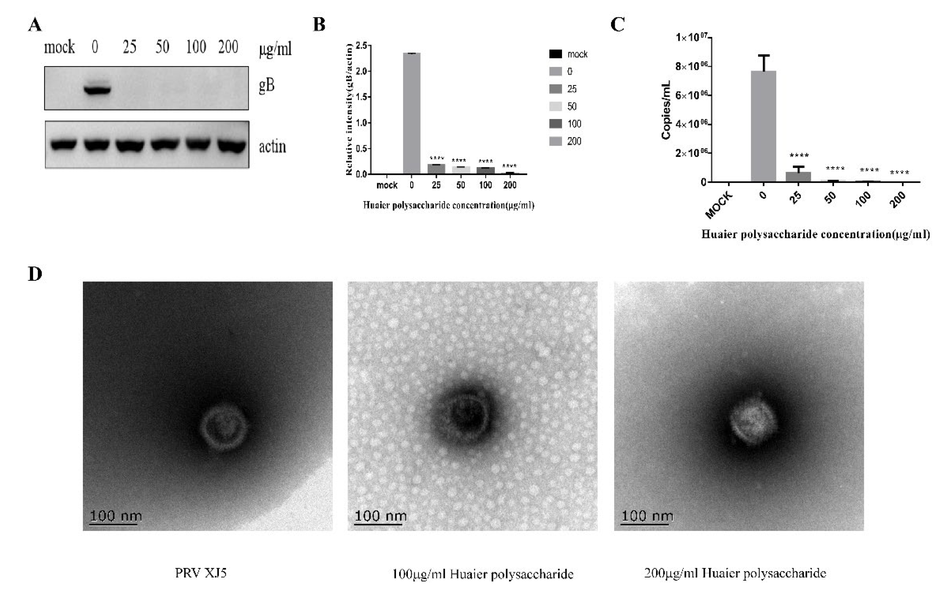 Viruses 14 00745 g007