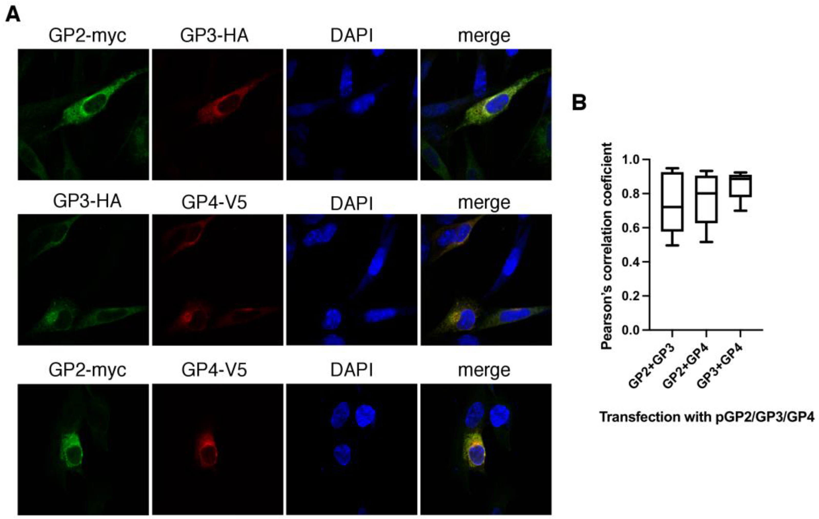 Viruses 14 00749 g005