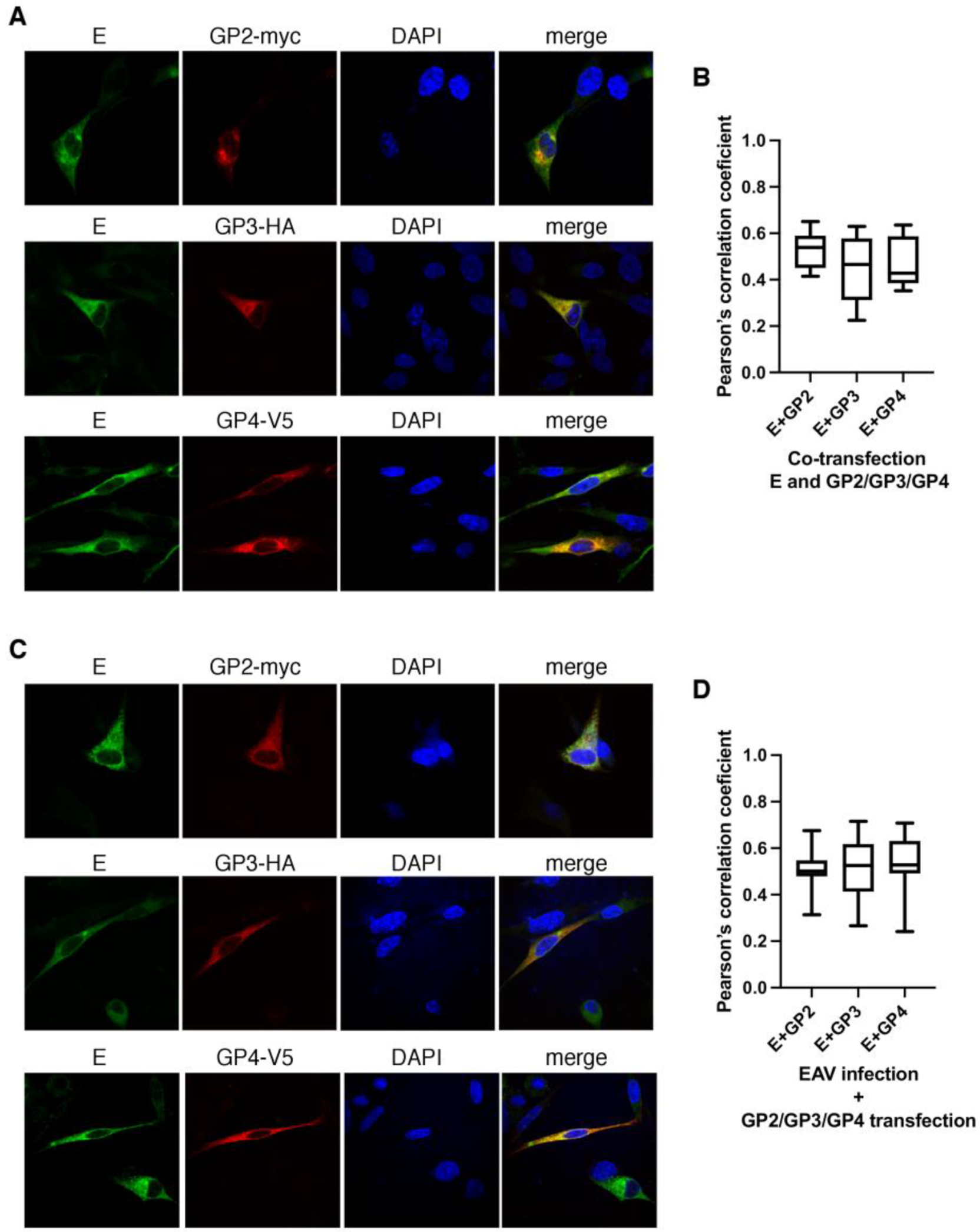 Viruses 14 00749 g006