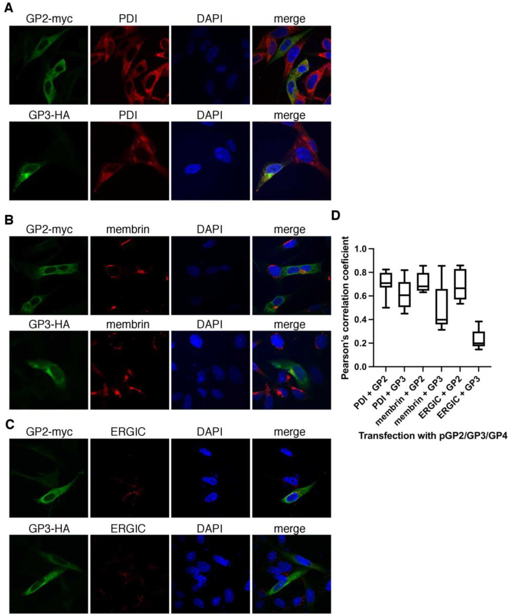 Viruses 14 00749 g007