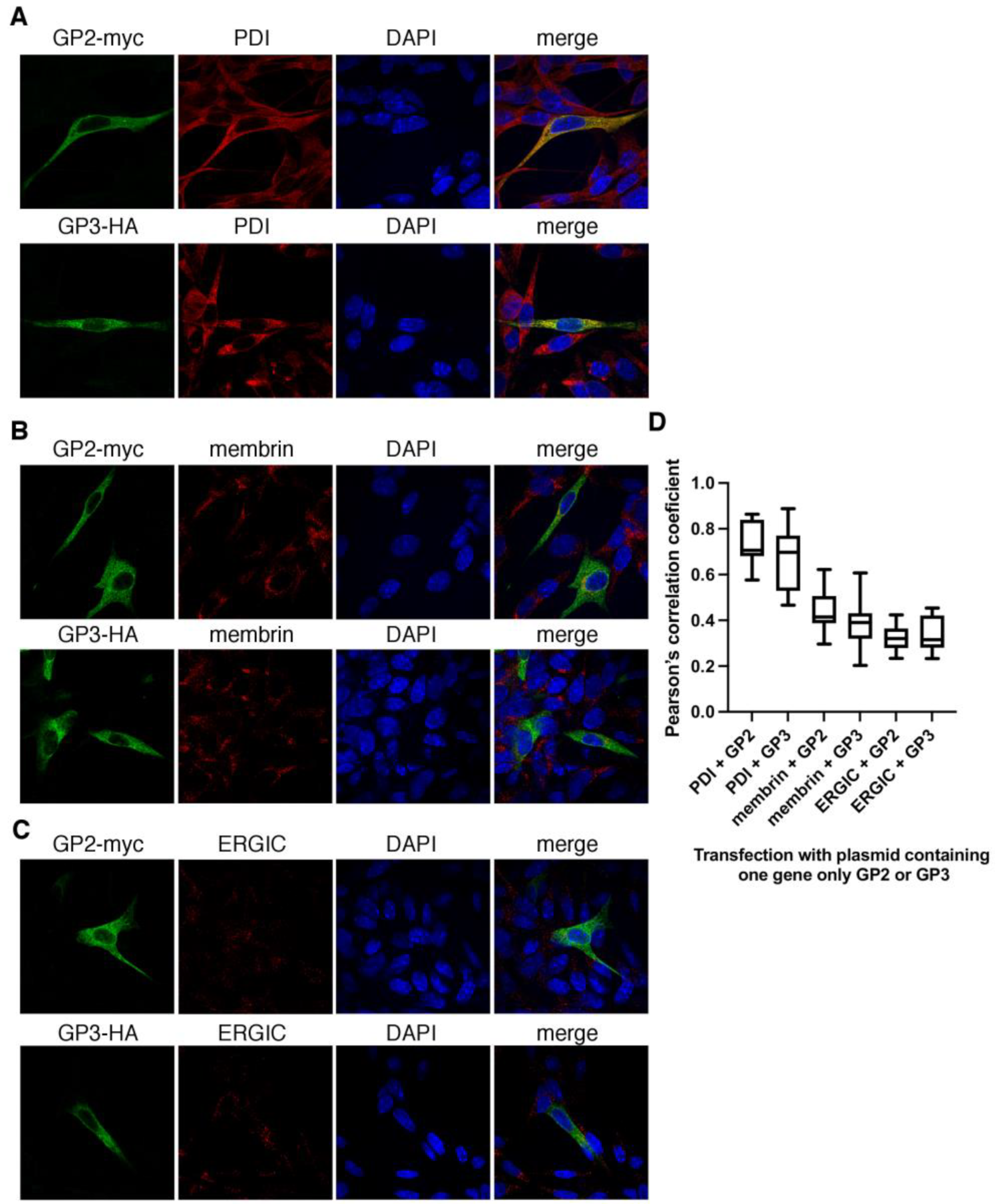 Viruses 14 00749 g008
