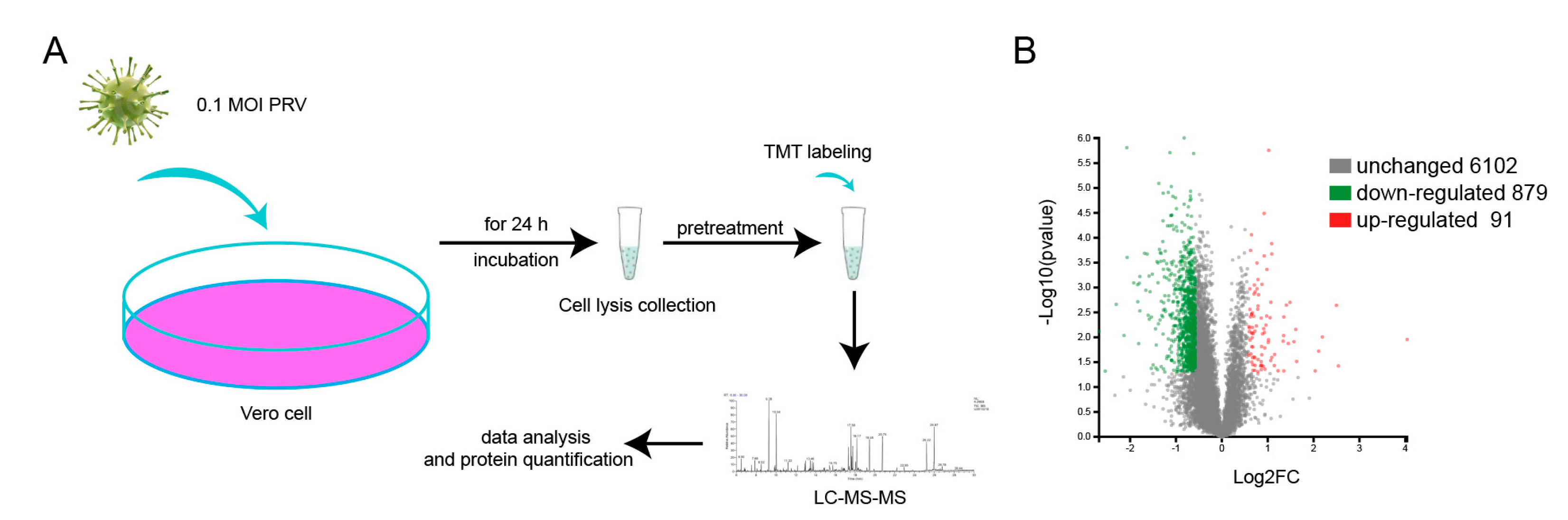 Viruses 14 00755 g002