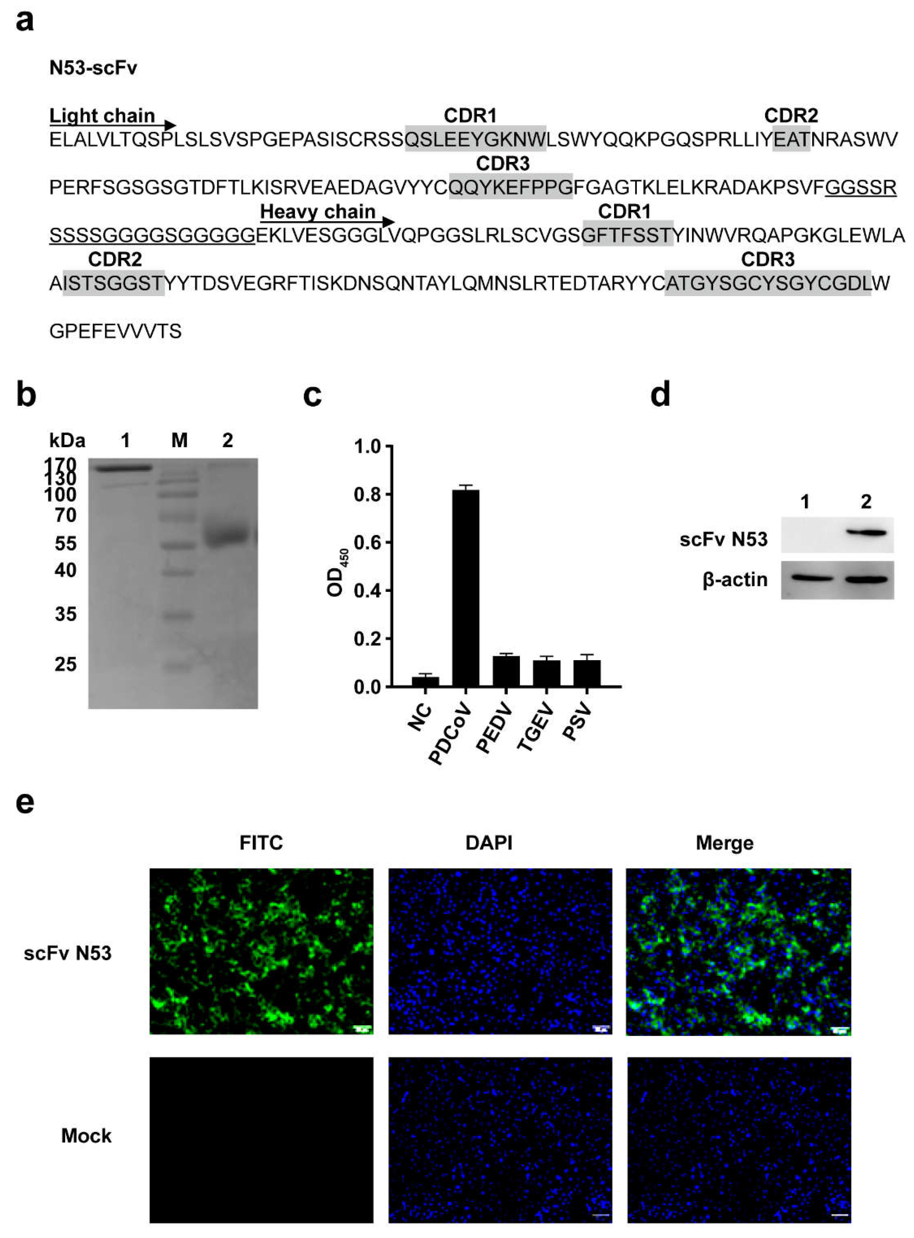 Viruses 14 00772 g004