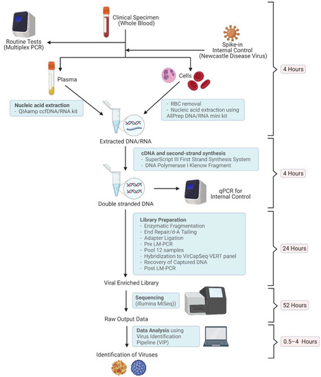 https://www.mdpi.com/viruses/viruses-14-00796/article_deploy/html/images/viruses-14-00796-g001-550.jpg