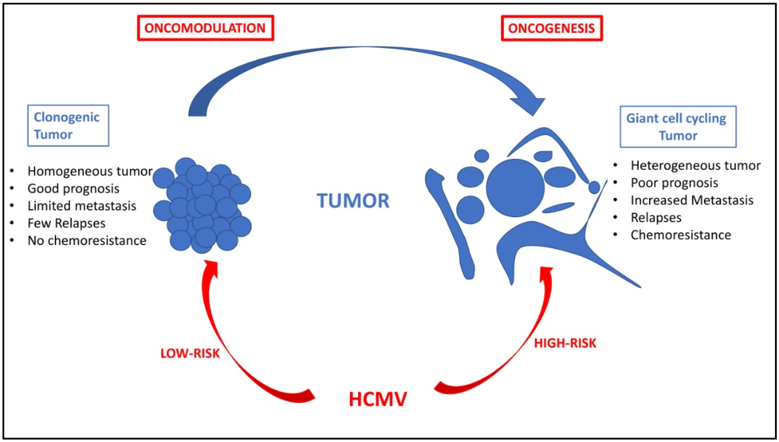 Viruses 14 00812 g002 Viruses 14 00812 g002