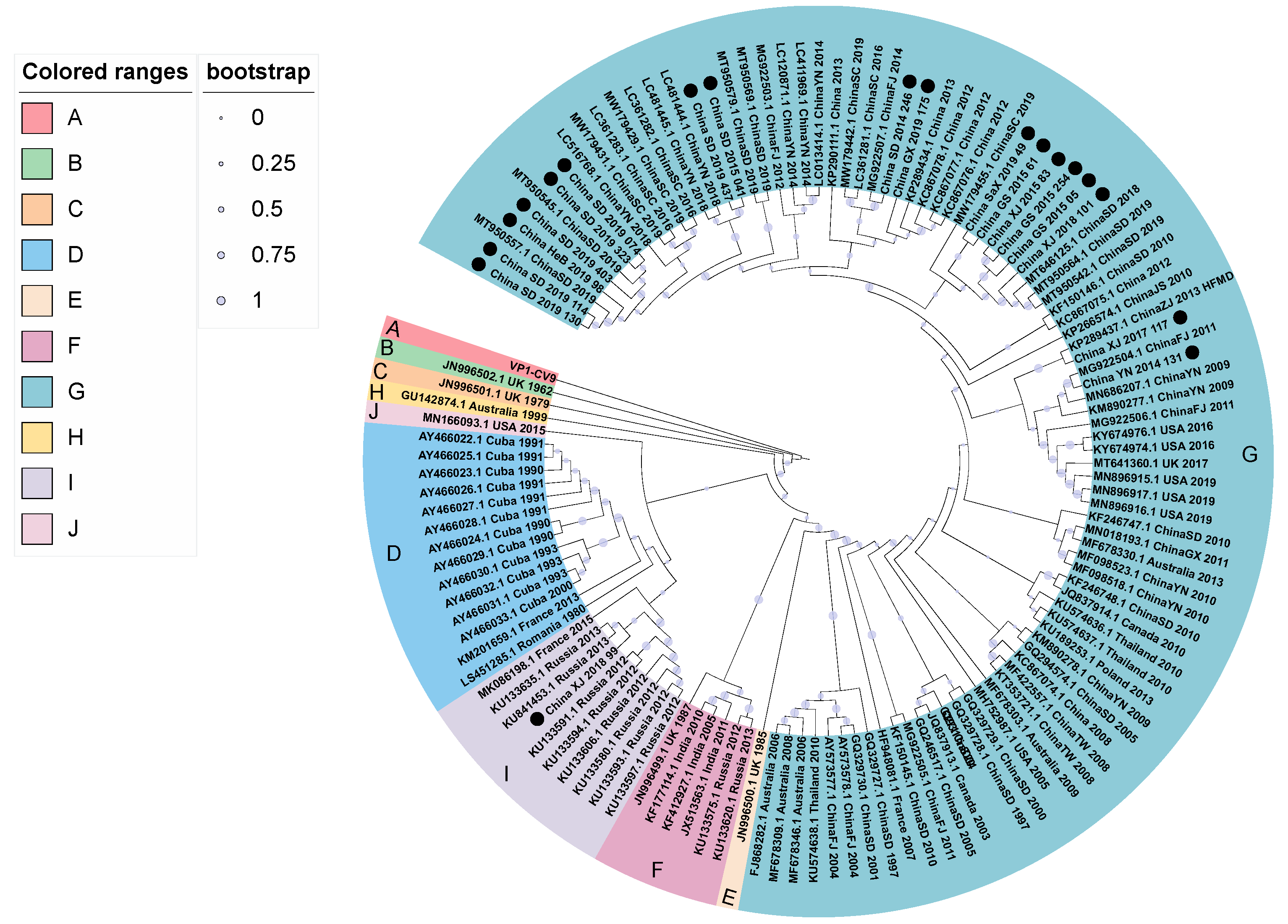 Viruses 14 00822 g001