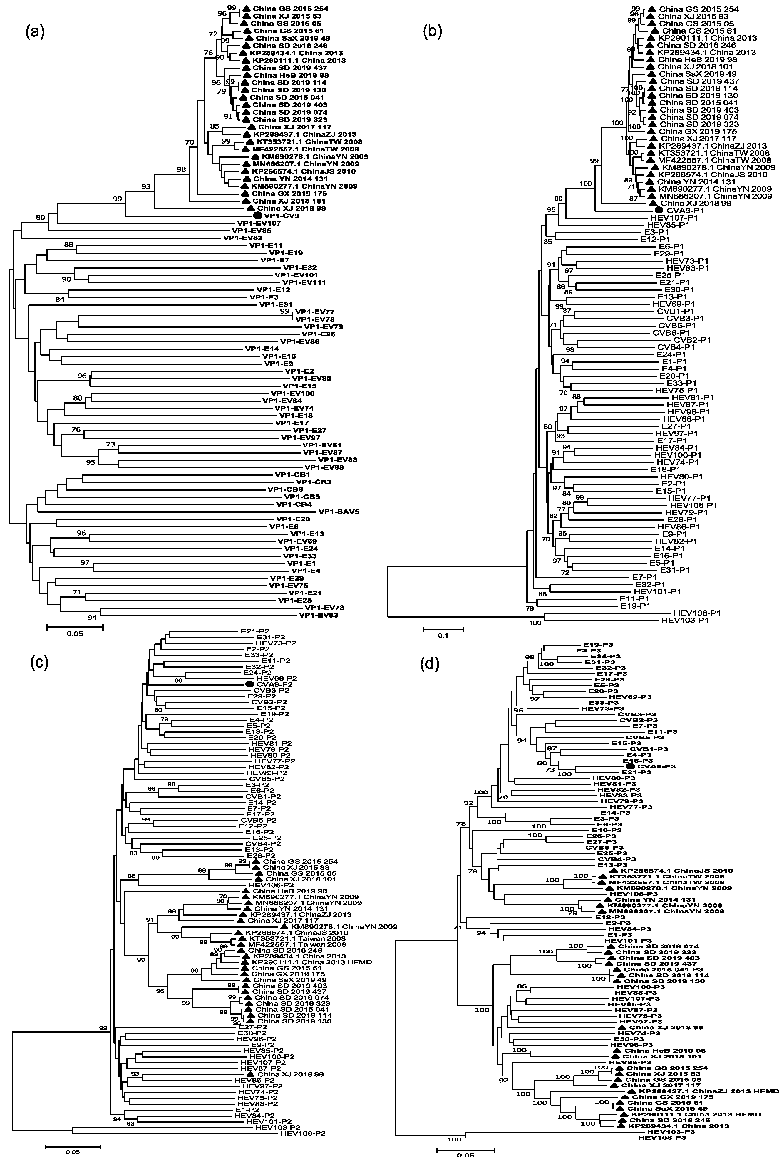 Viruses 14 00822 g004