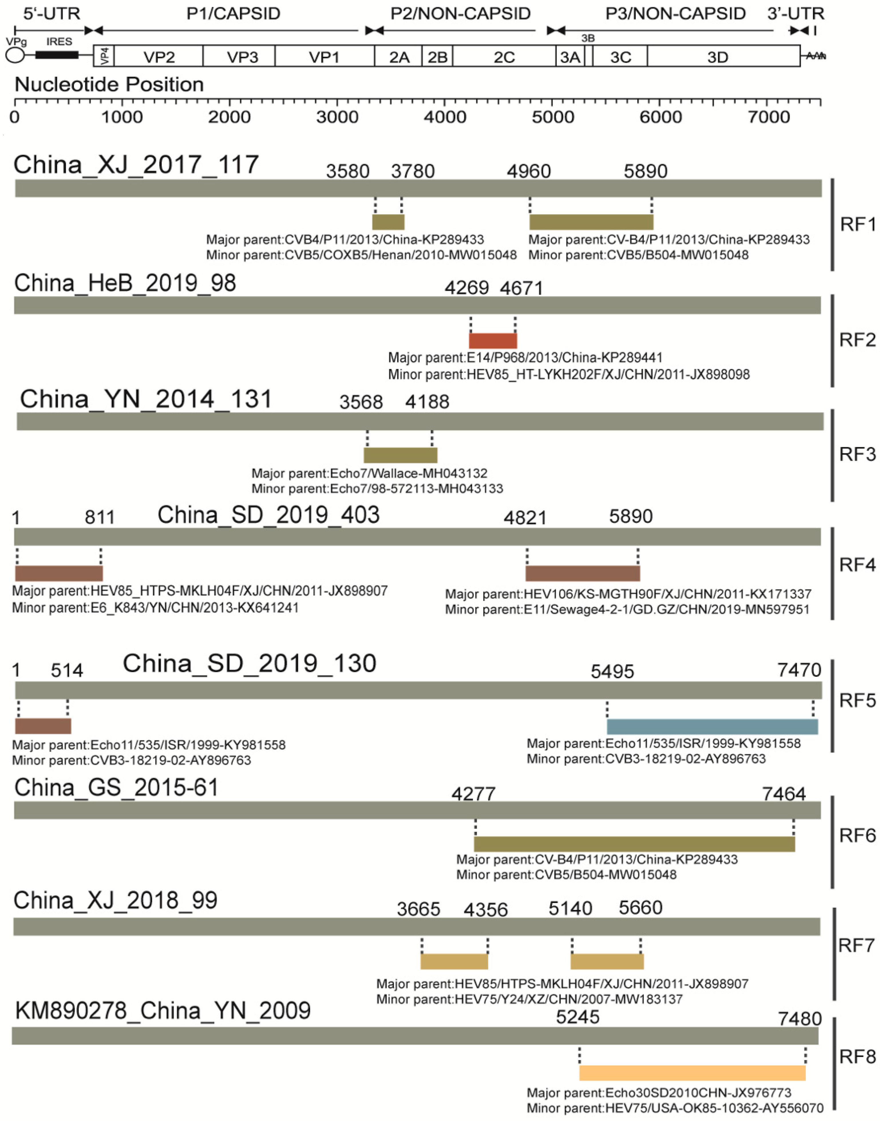 Viruses 14 00822 g005