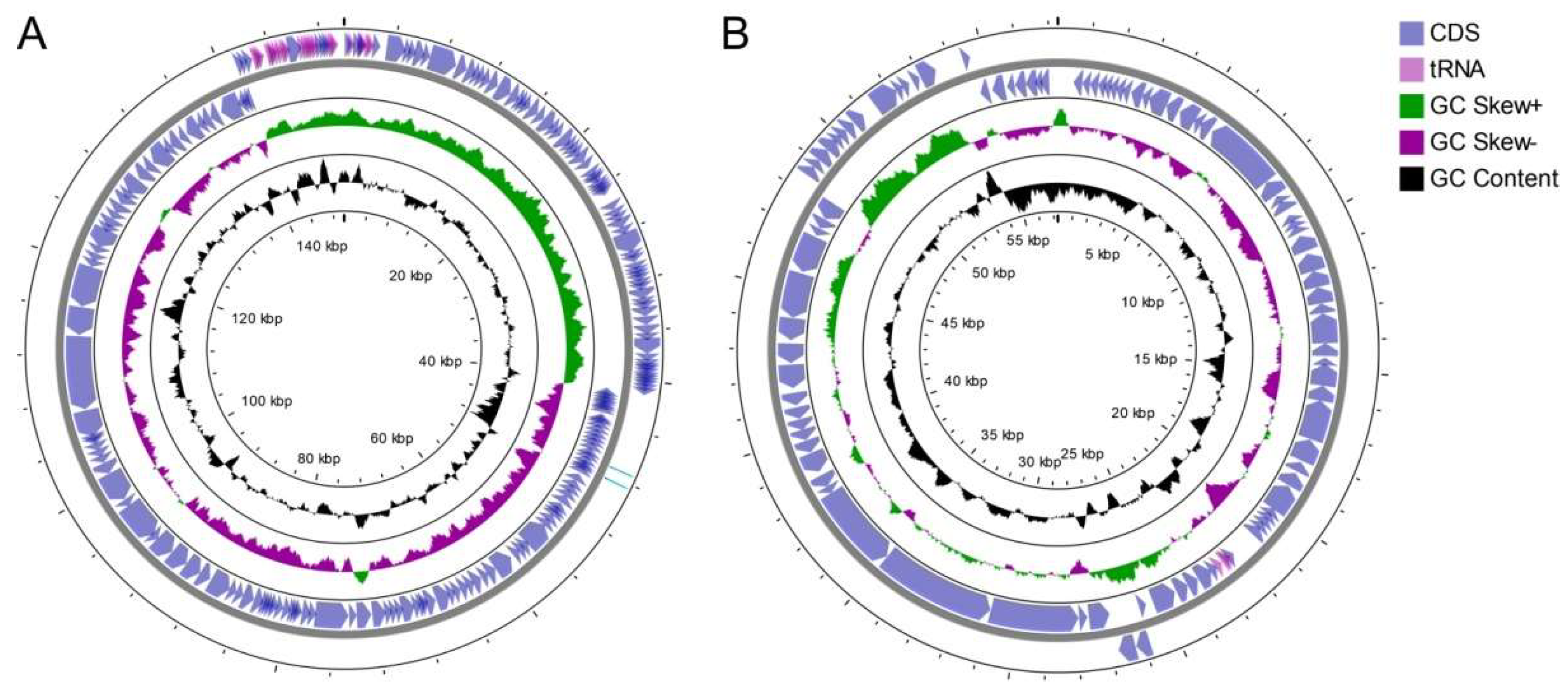 Viruses 14 00831 g003