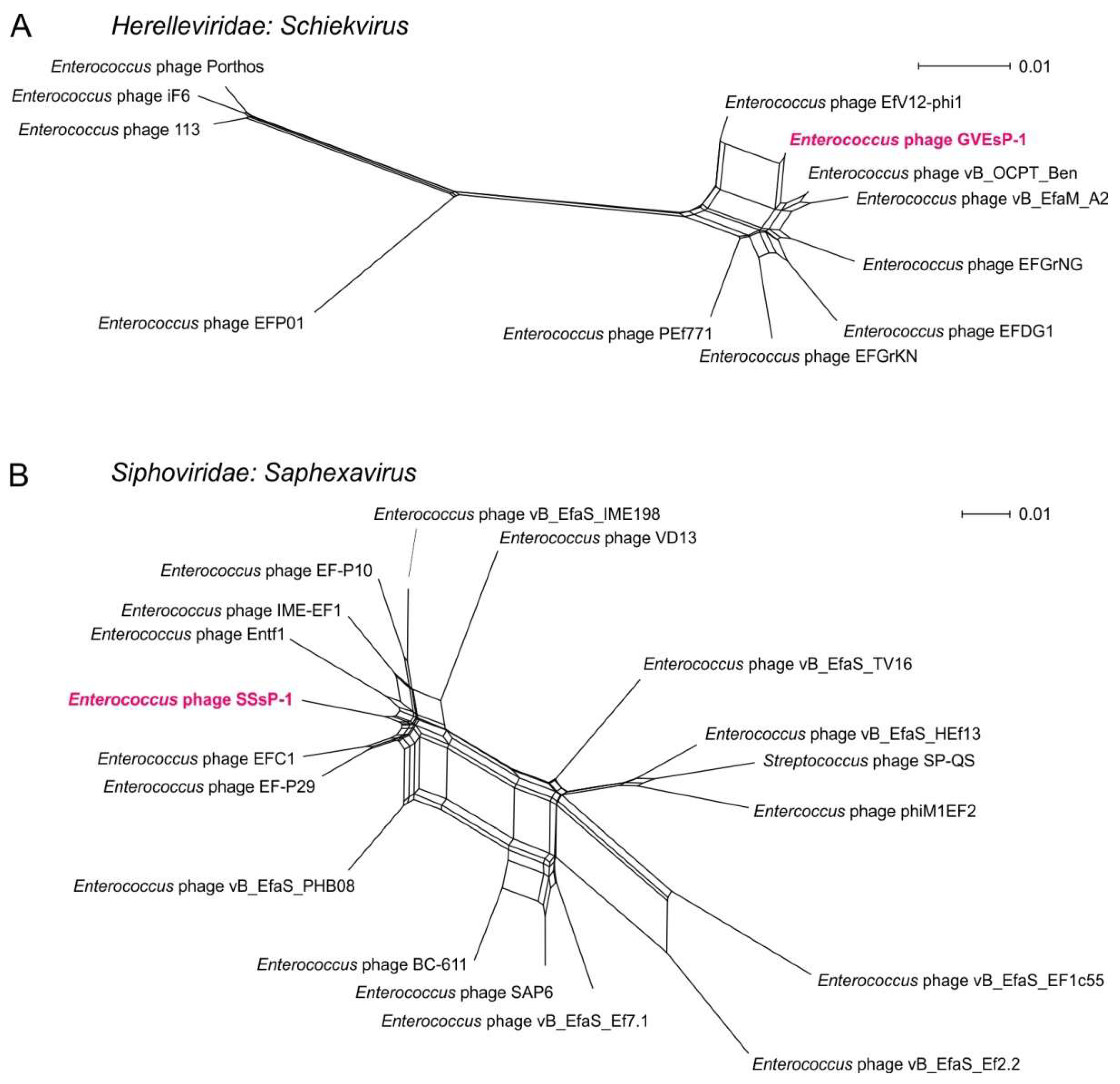 Viruses 14 00831 g004