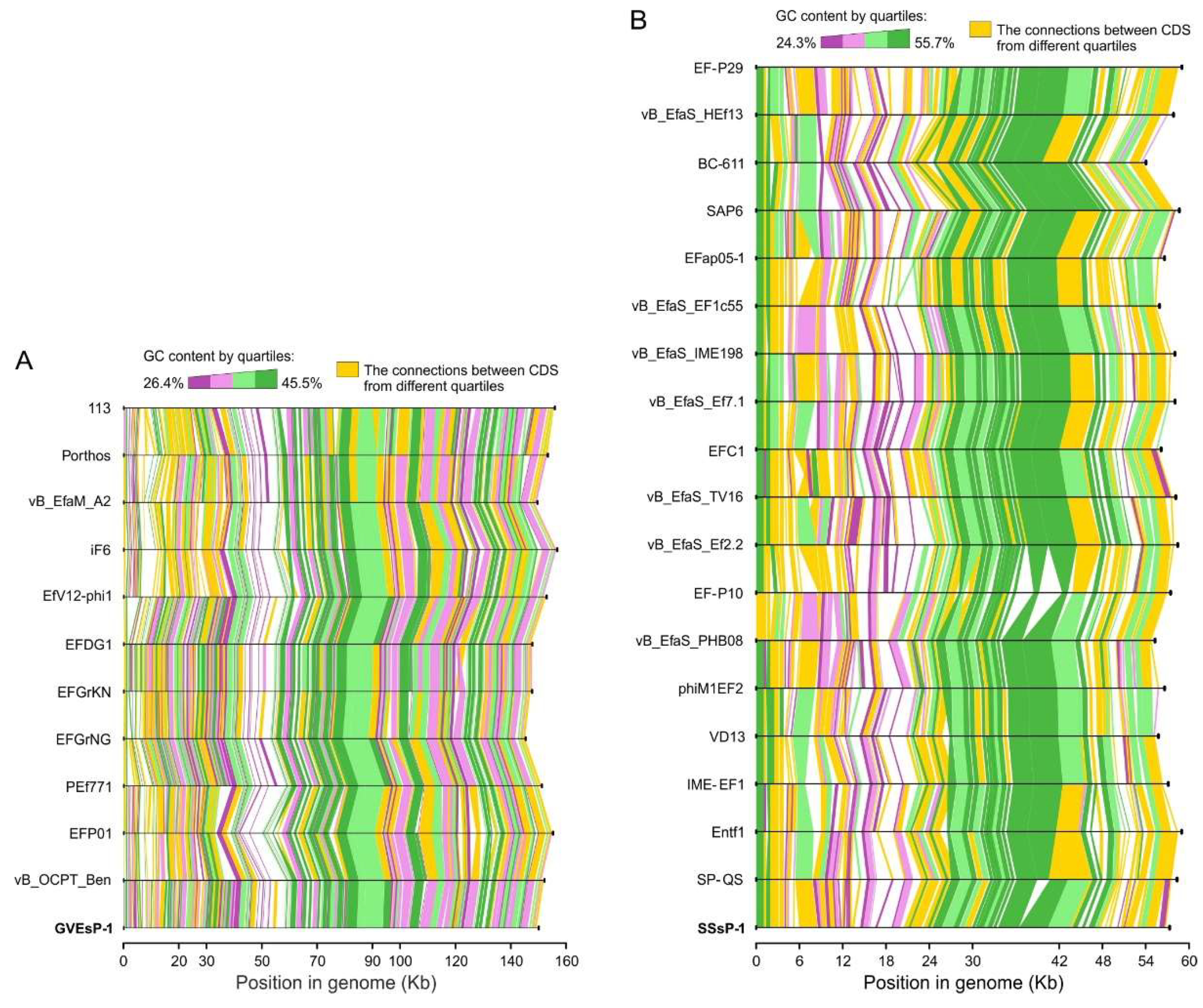 Viruses 14 00831 g005