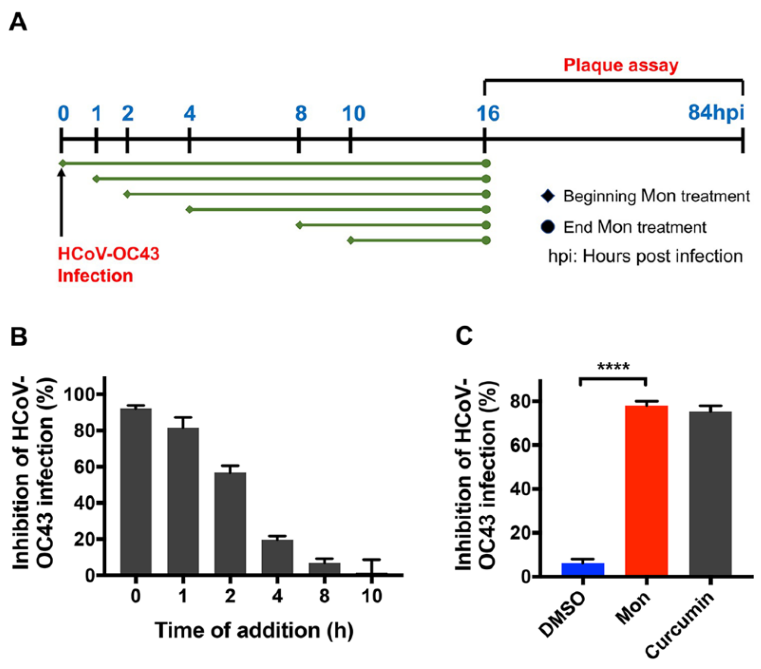 Viruses 14 00861 g004
