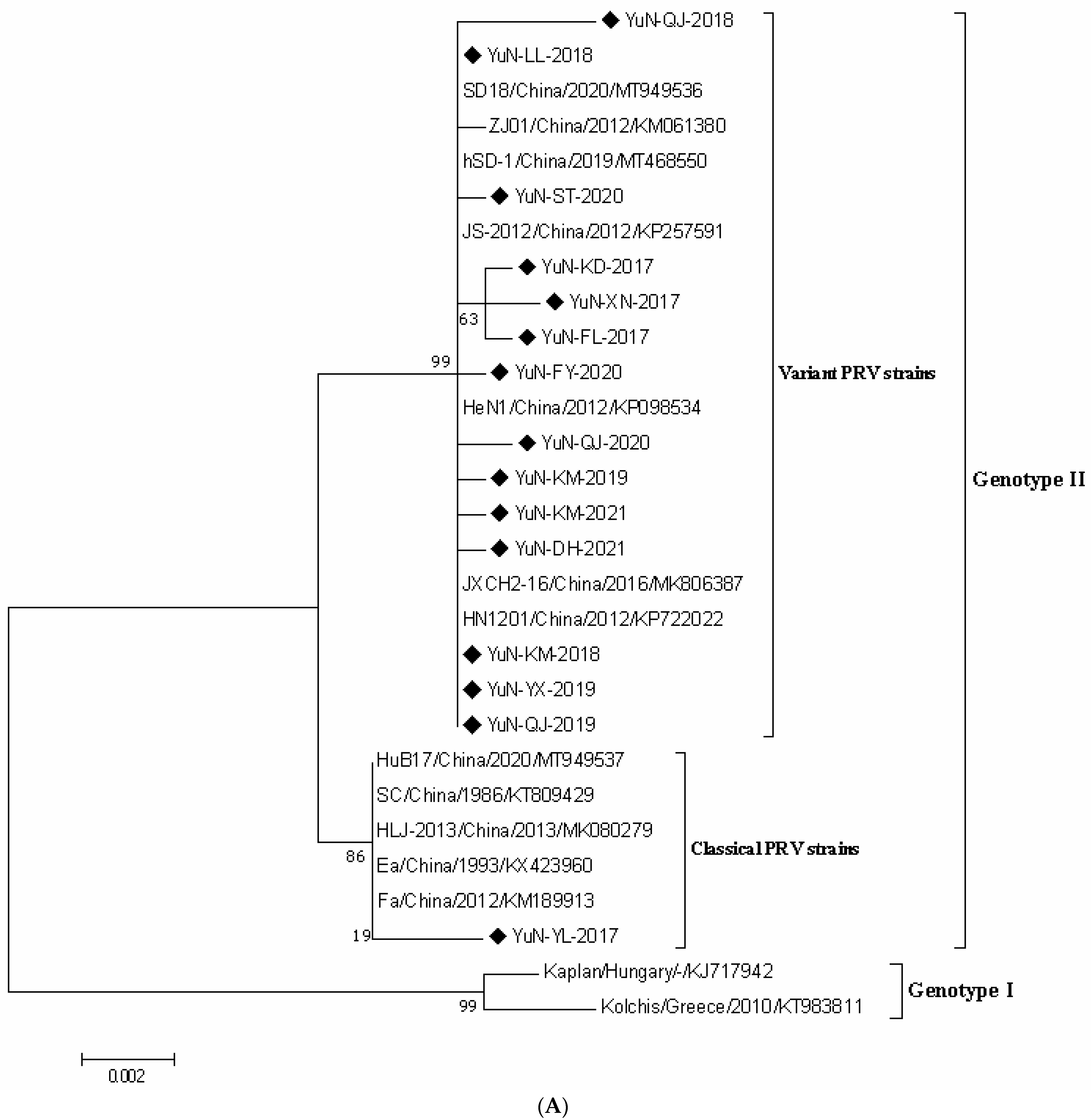 Viruses 14 00895 g001a