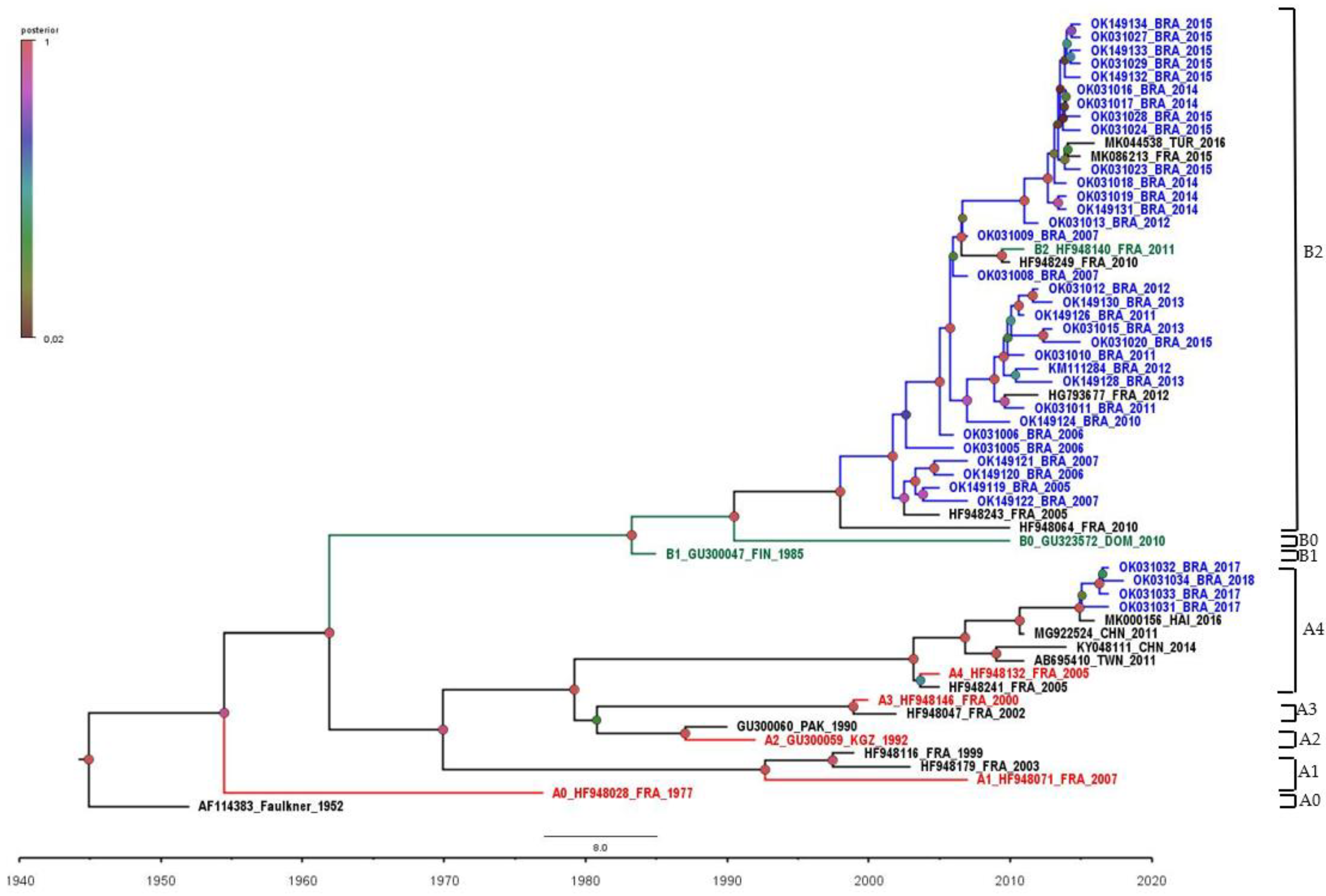 Viruses 14 00899 g001