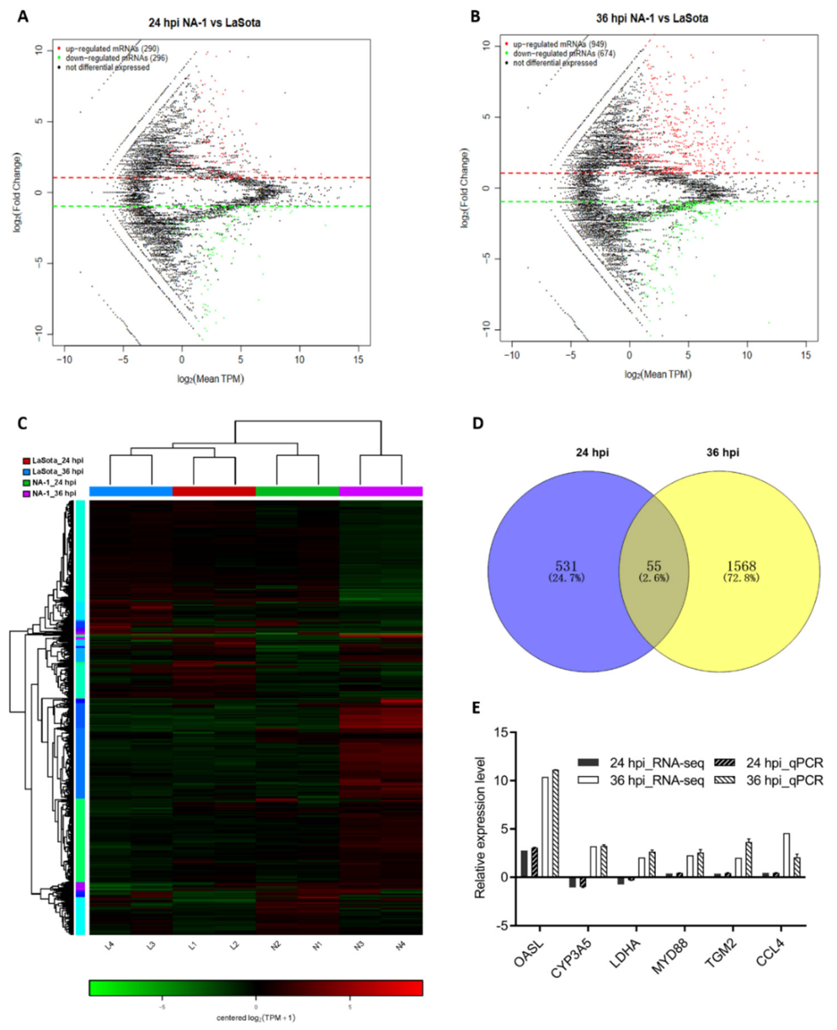 Viruses 14 00911 g002