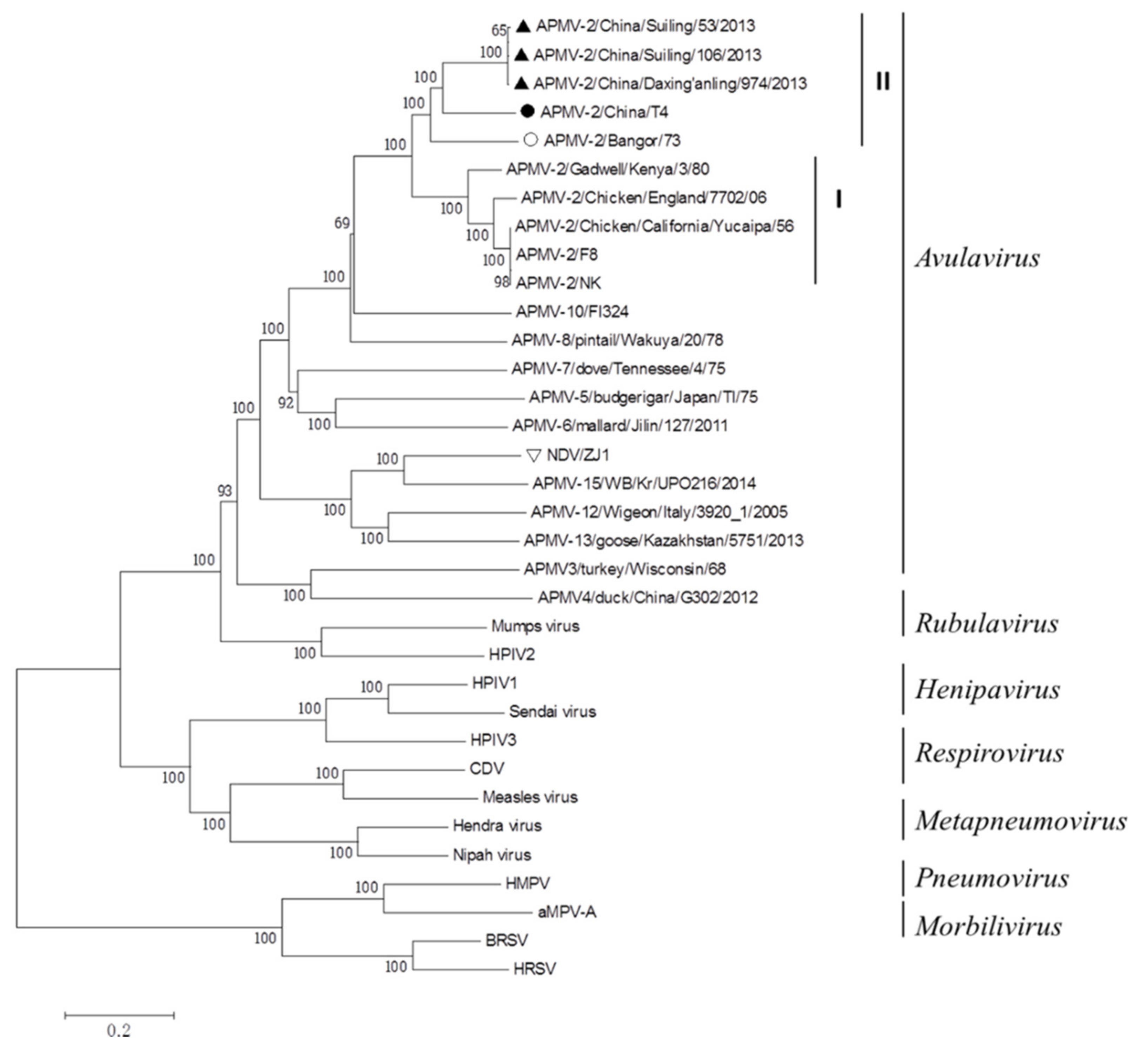 Viruses 14 00918 g001