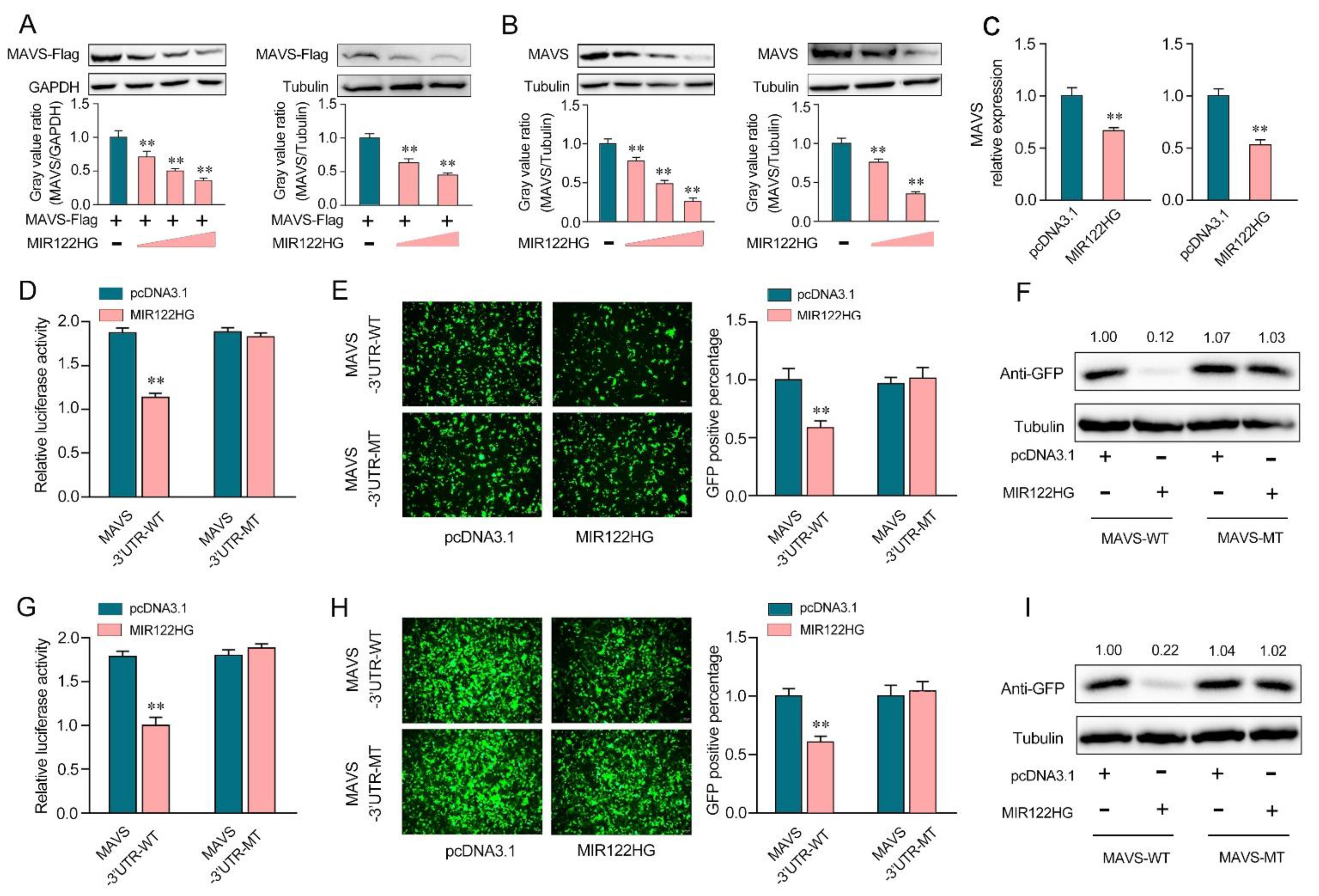 Viruses 14 00930 g002