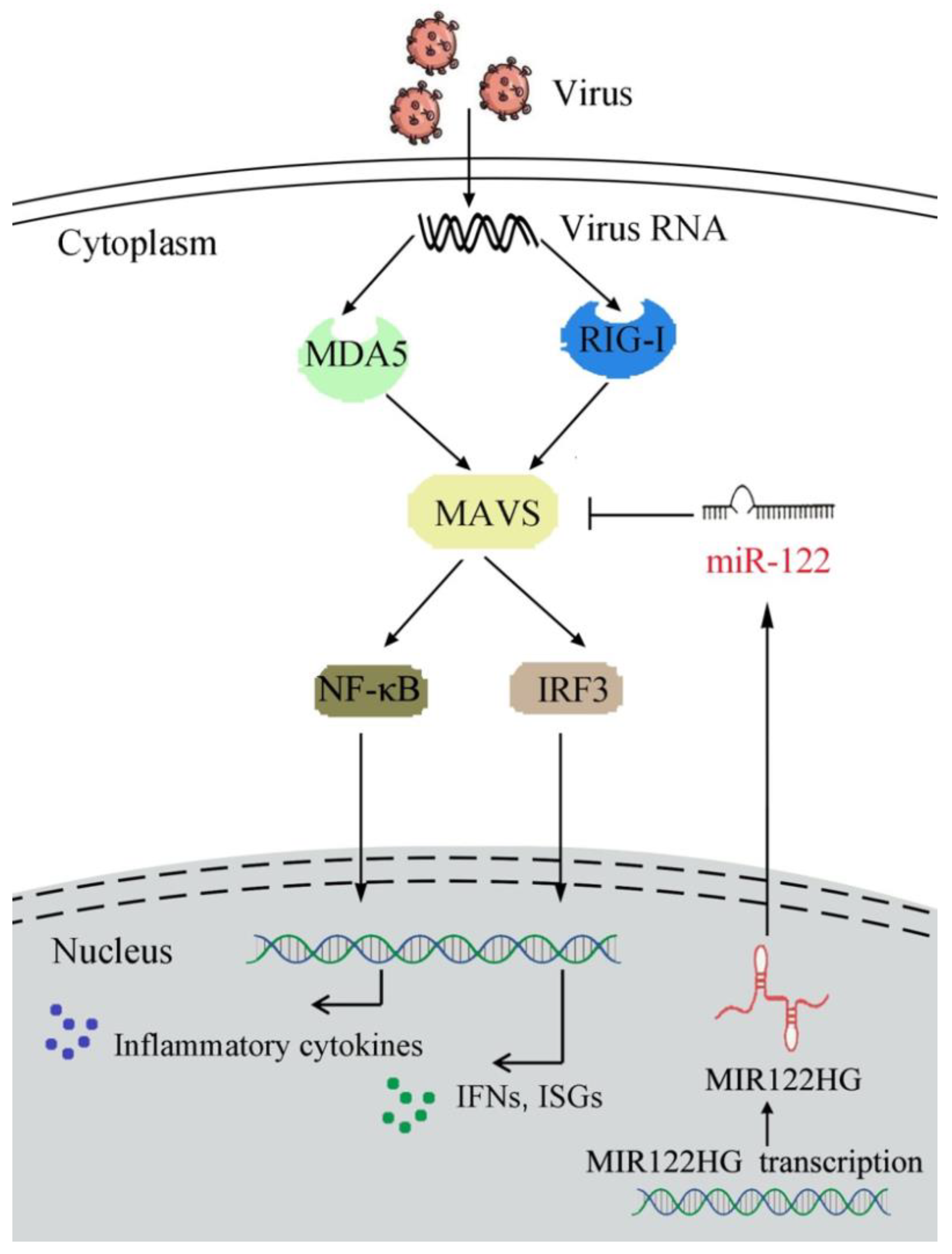 Viruses 14 00930 g007