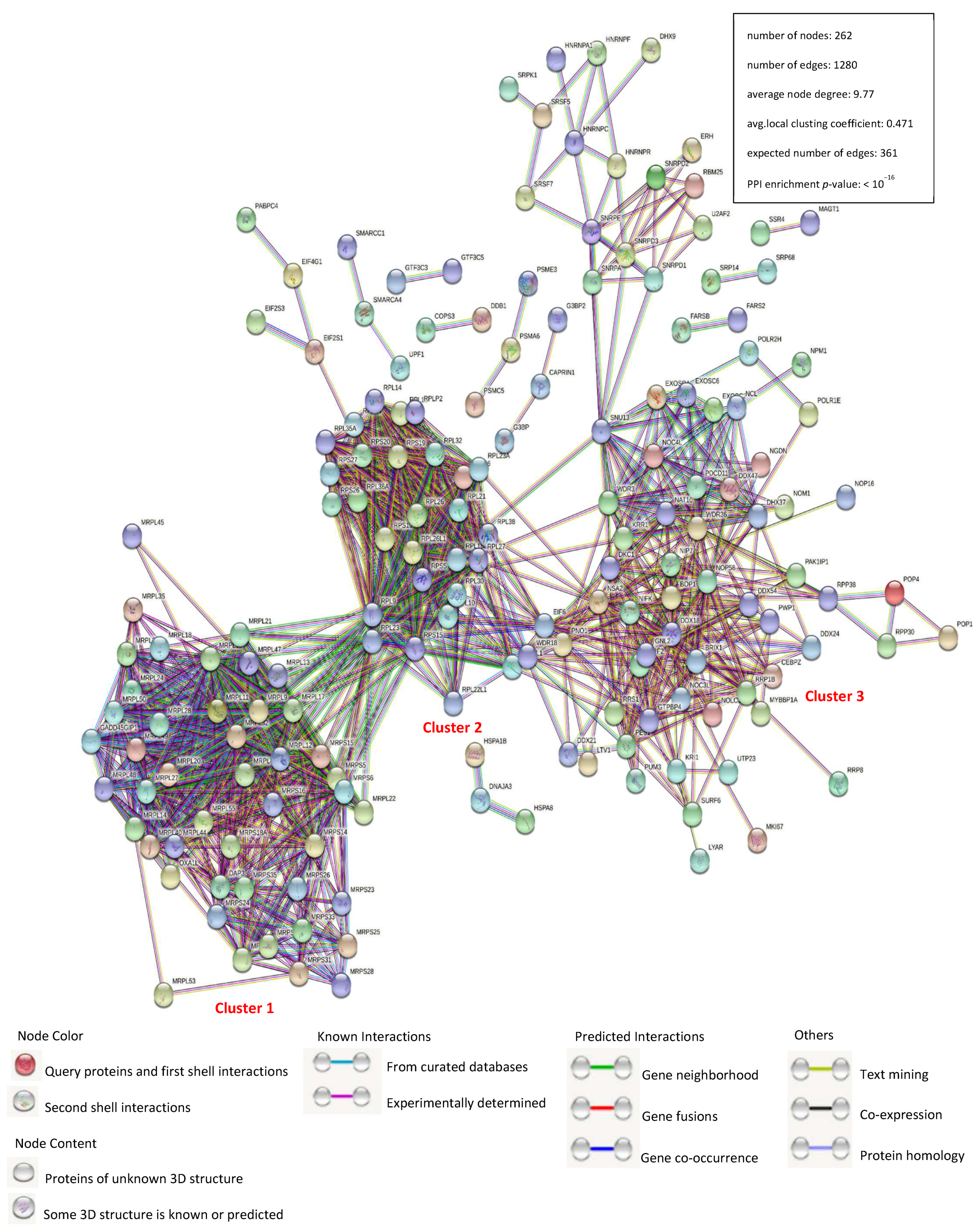 Viruses 14 00939 g002