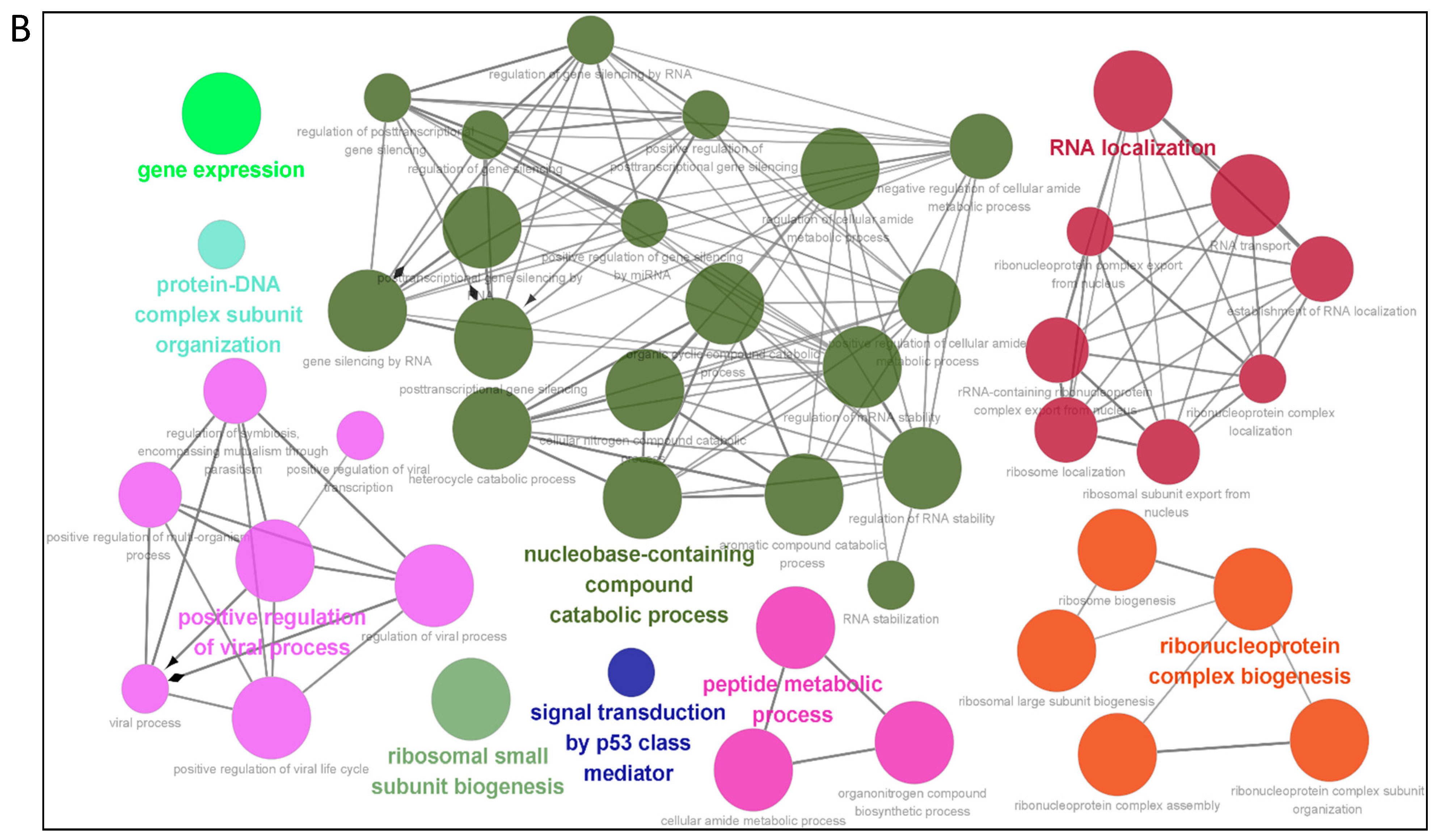 Viruses 14 00939 g003b