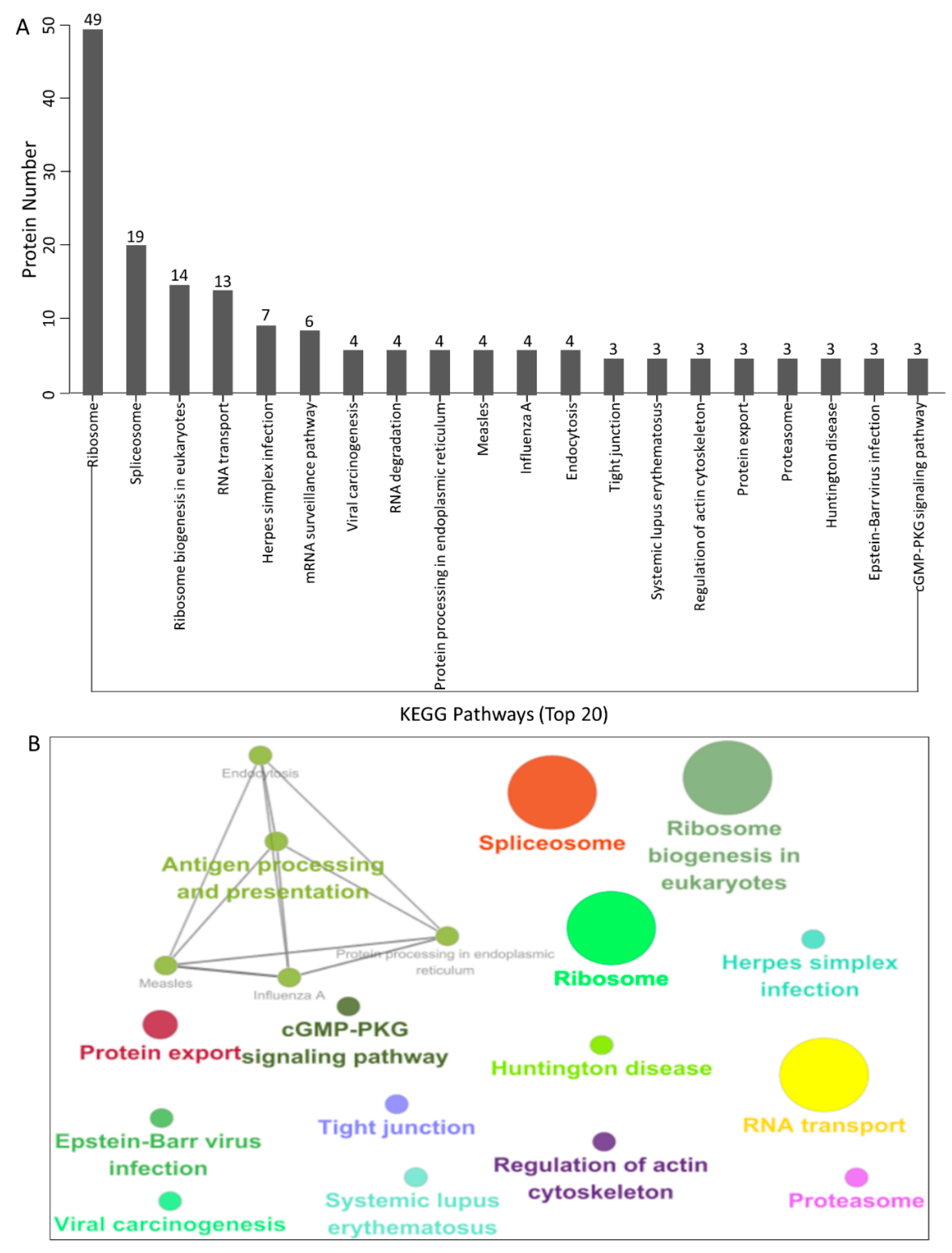 Viruses 14 00939 g004