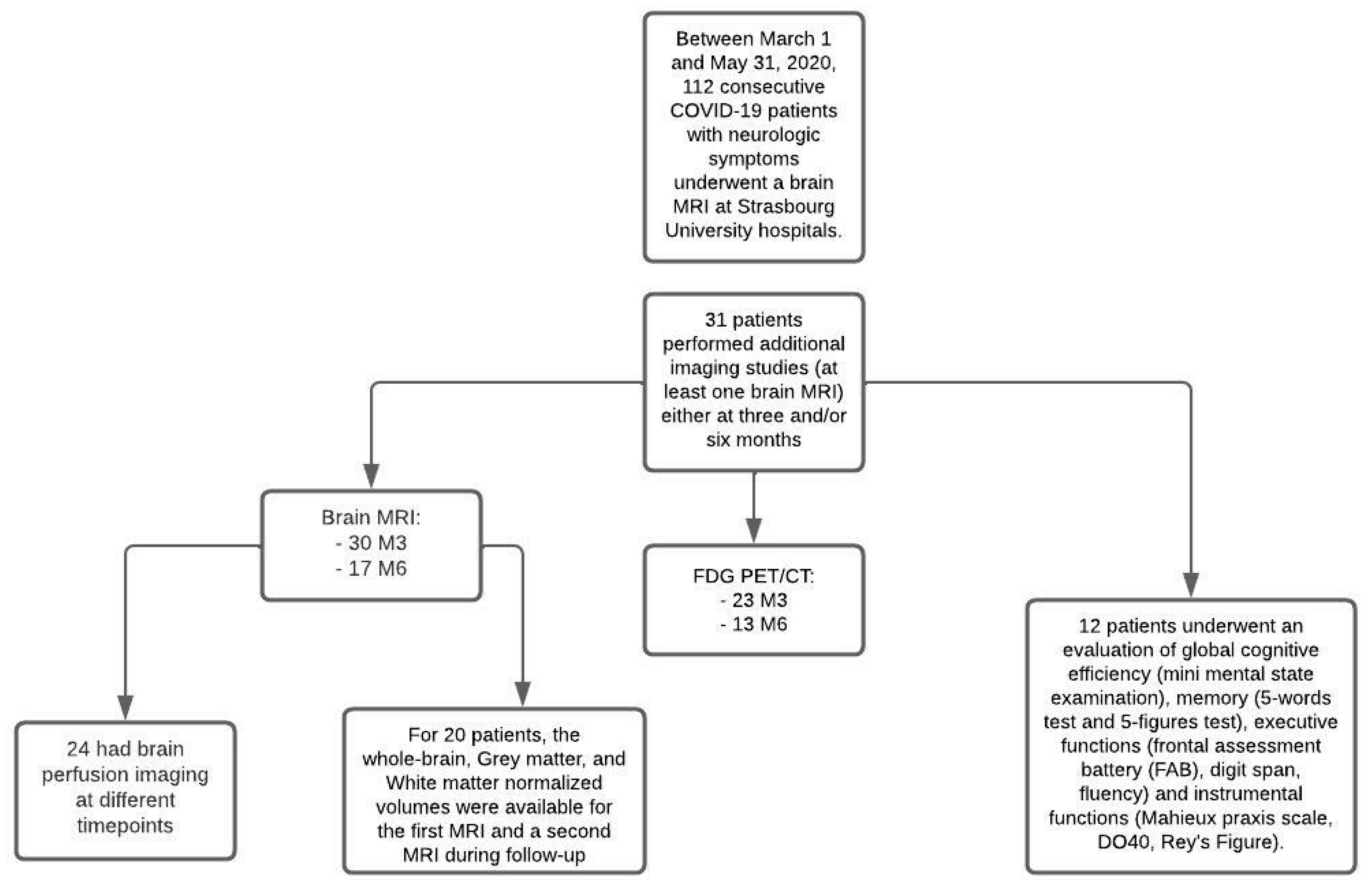 Viruses 14 00949 g001