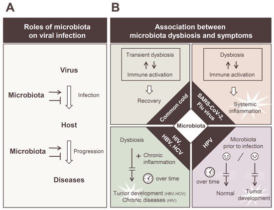 Frontiers  Interactions between microbiota and cervical