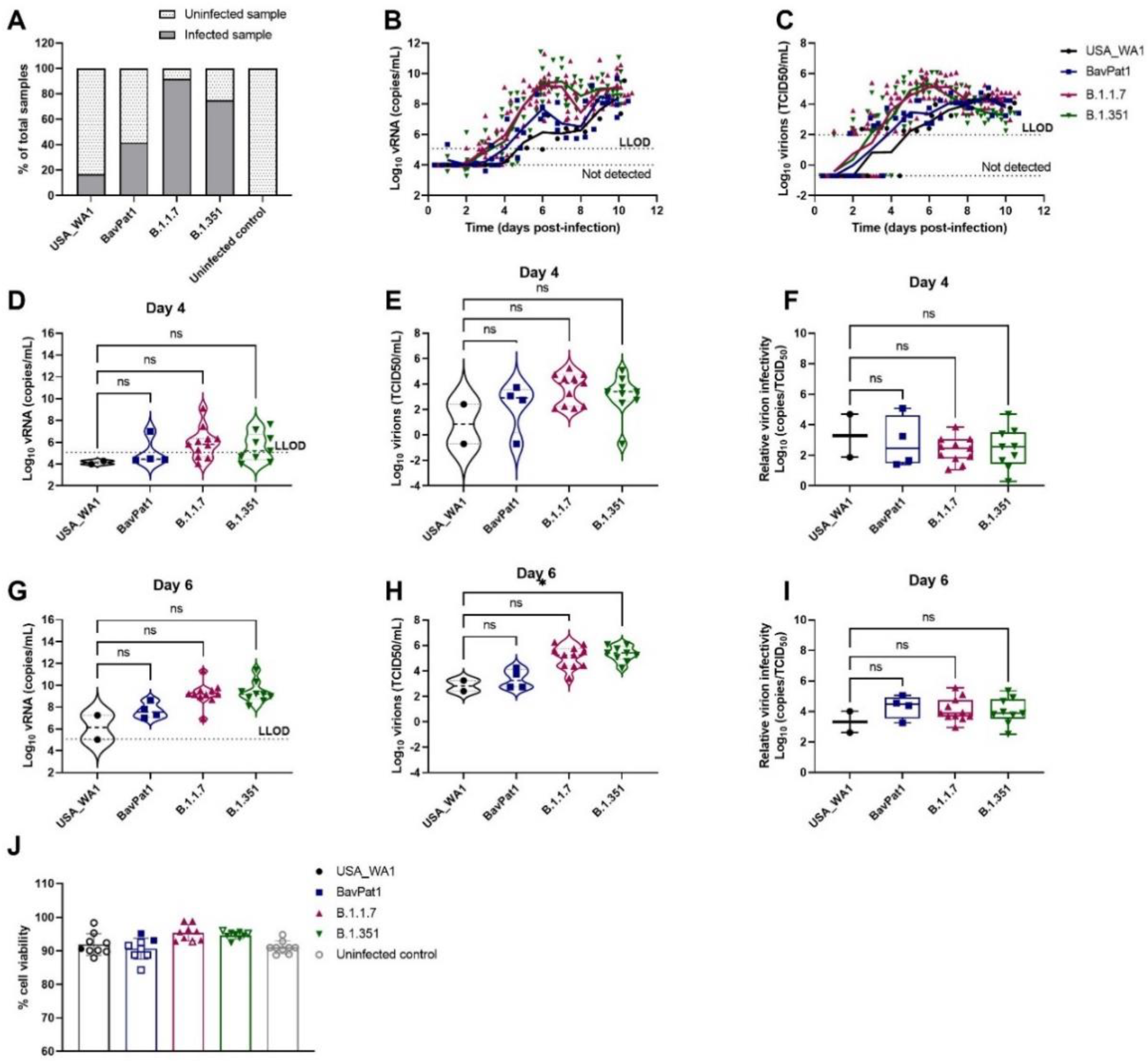 Viruses 14 00951 g001