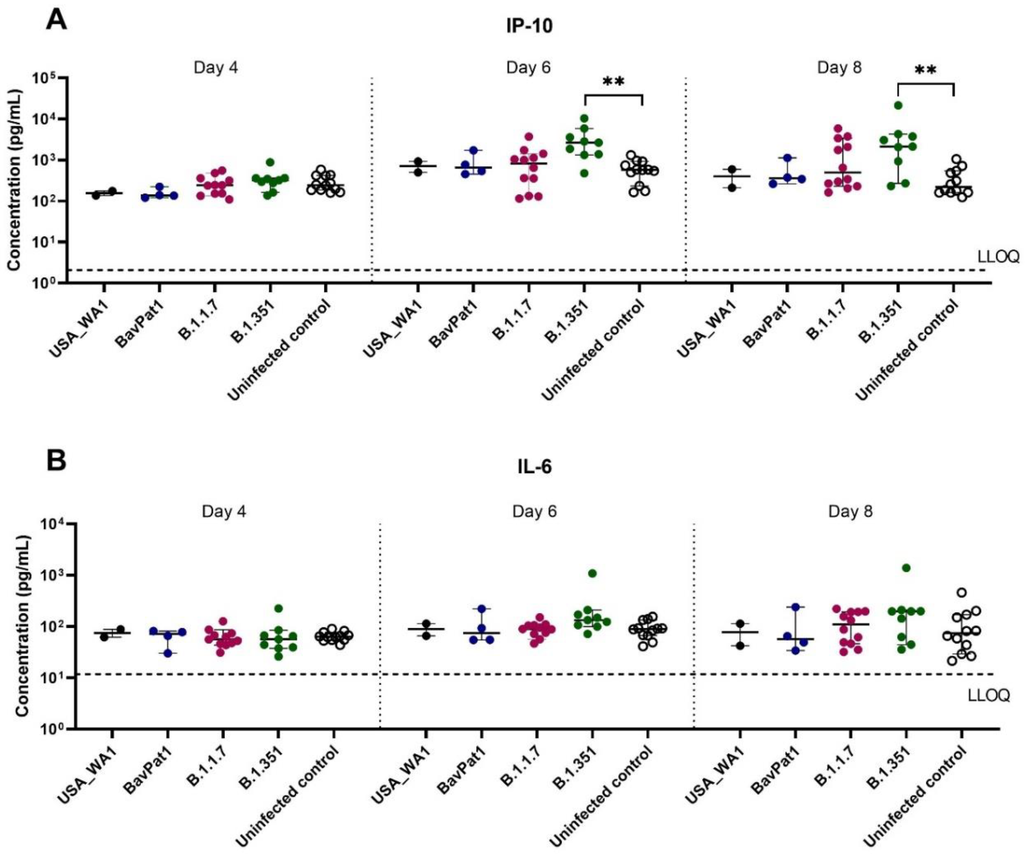 Viruses 14 00951 g003