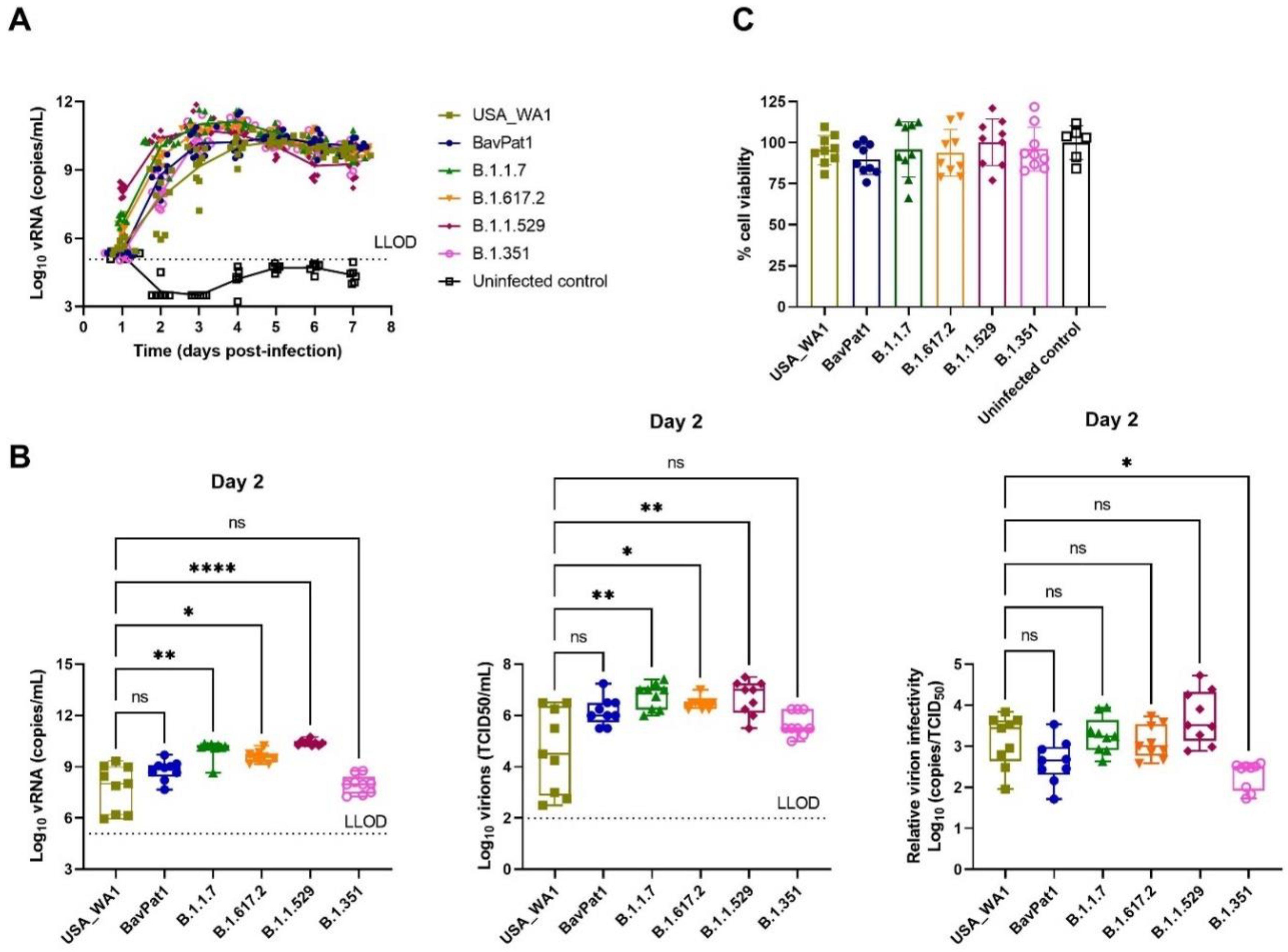Viruses 14 00951 g005