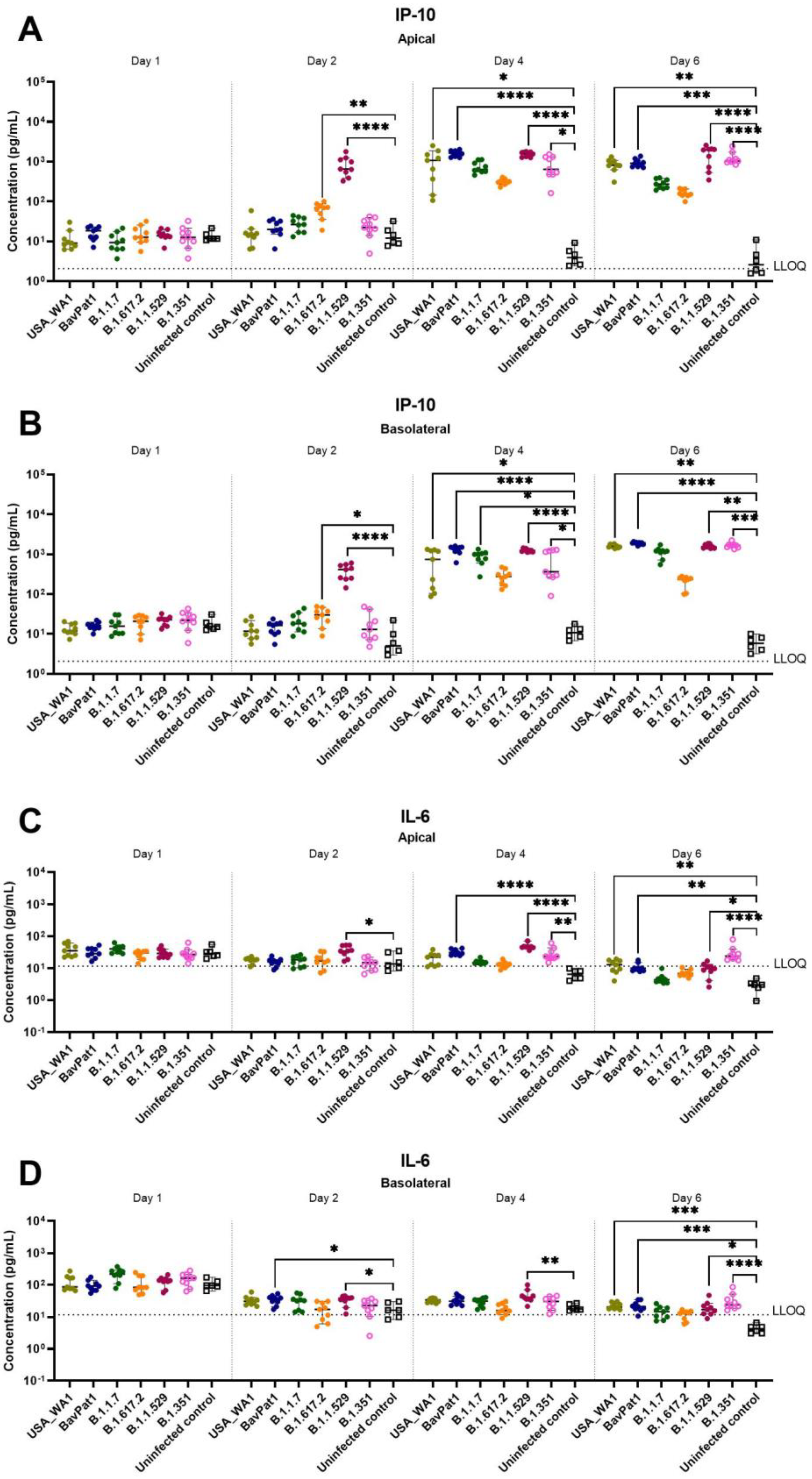 Viruses 14 00951 g006