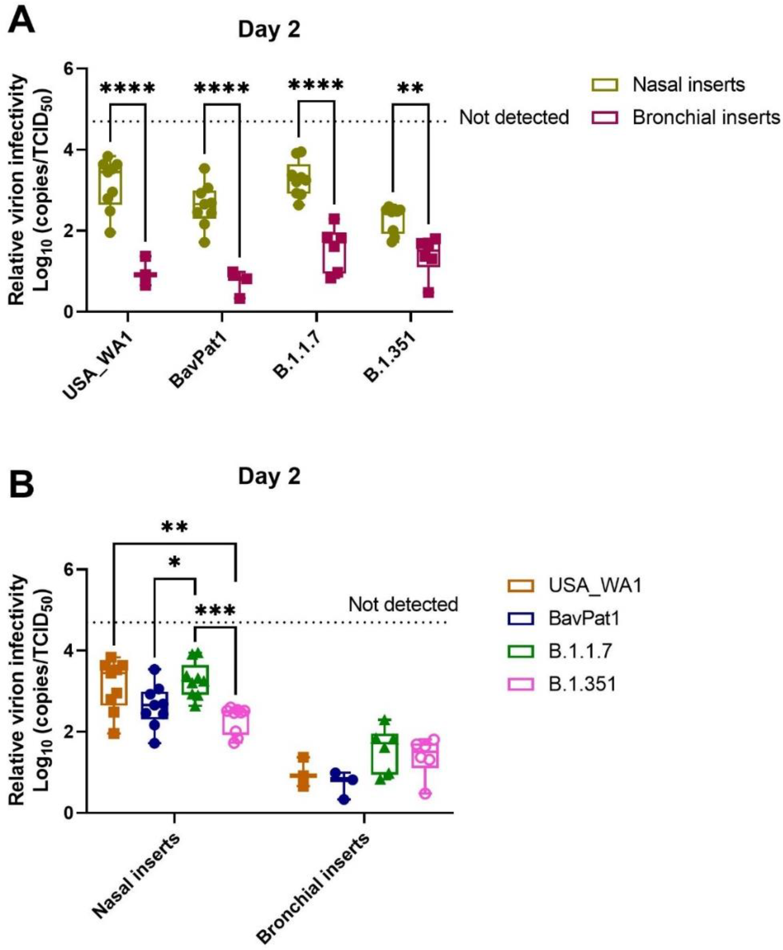 Viruses 14 00951 g007