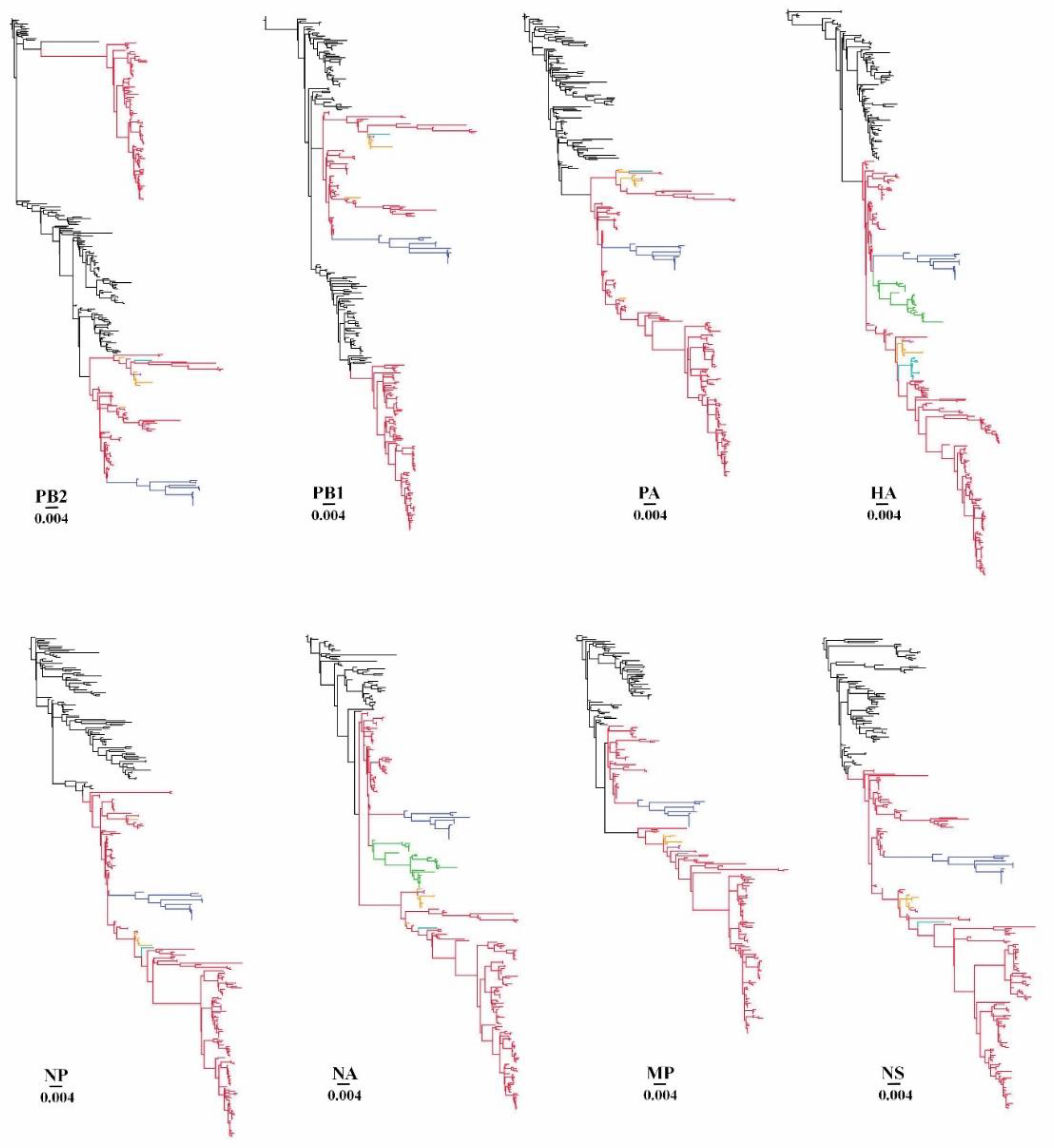 Viruses 14 00958 g001