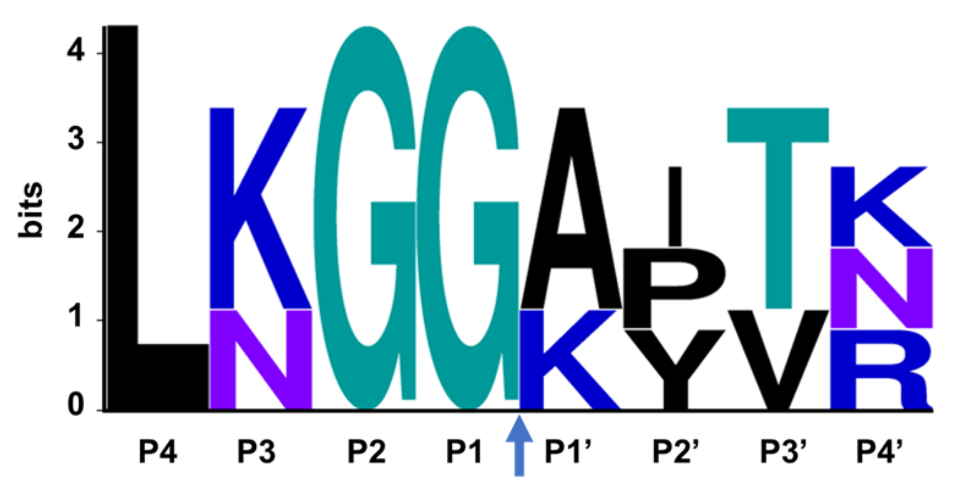 Viruses 14 00961 g010