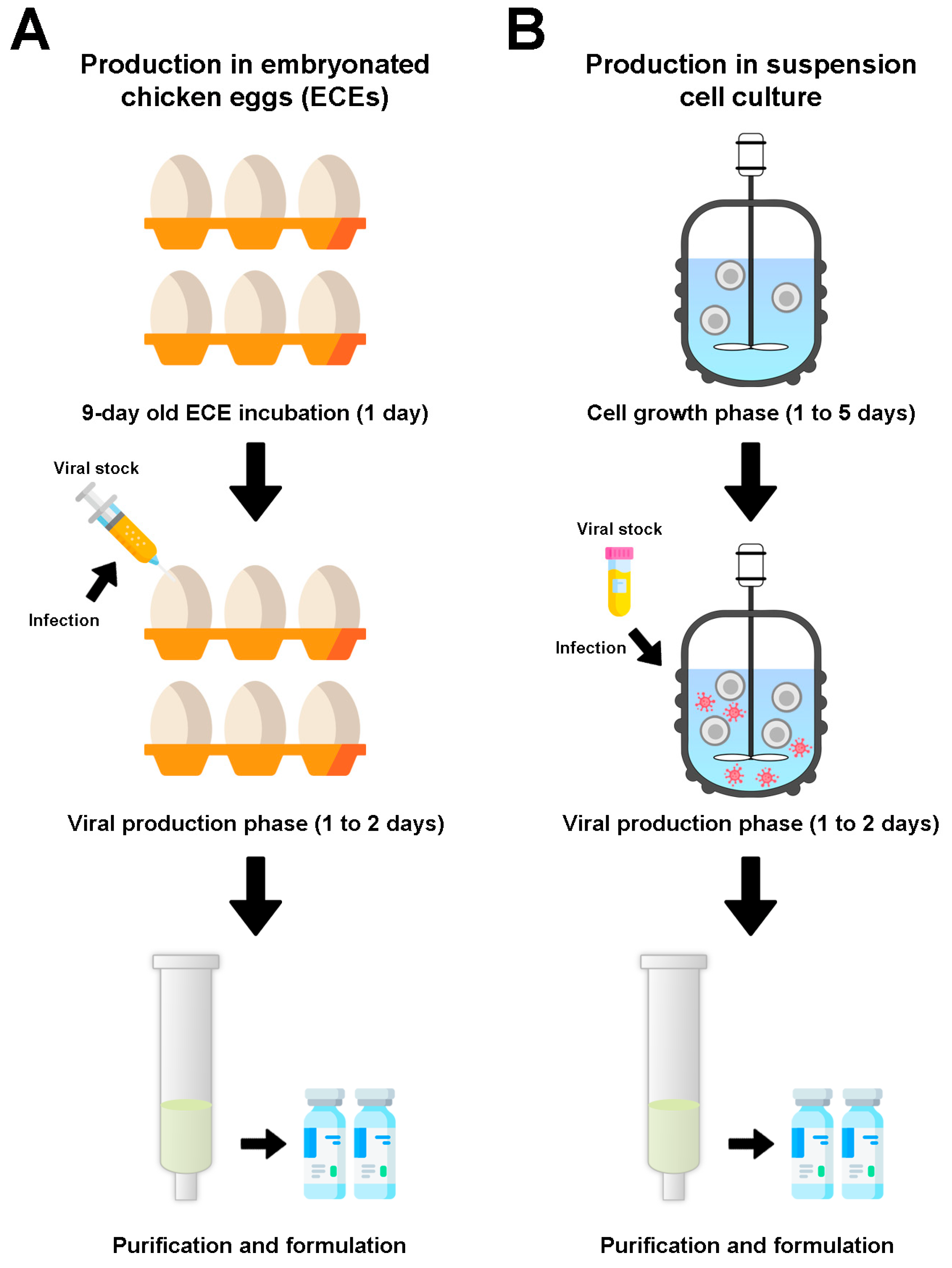 Viruses 14 00975 g002 Viruses 14 00975 g002