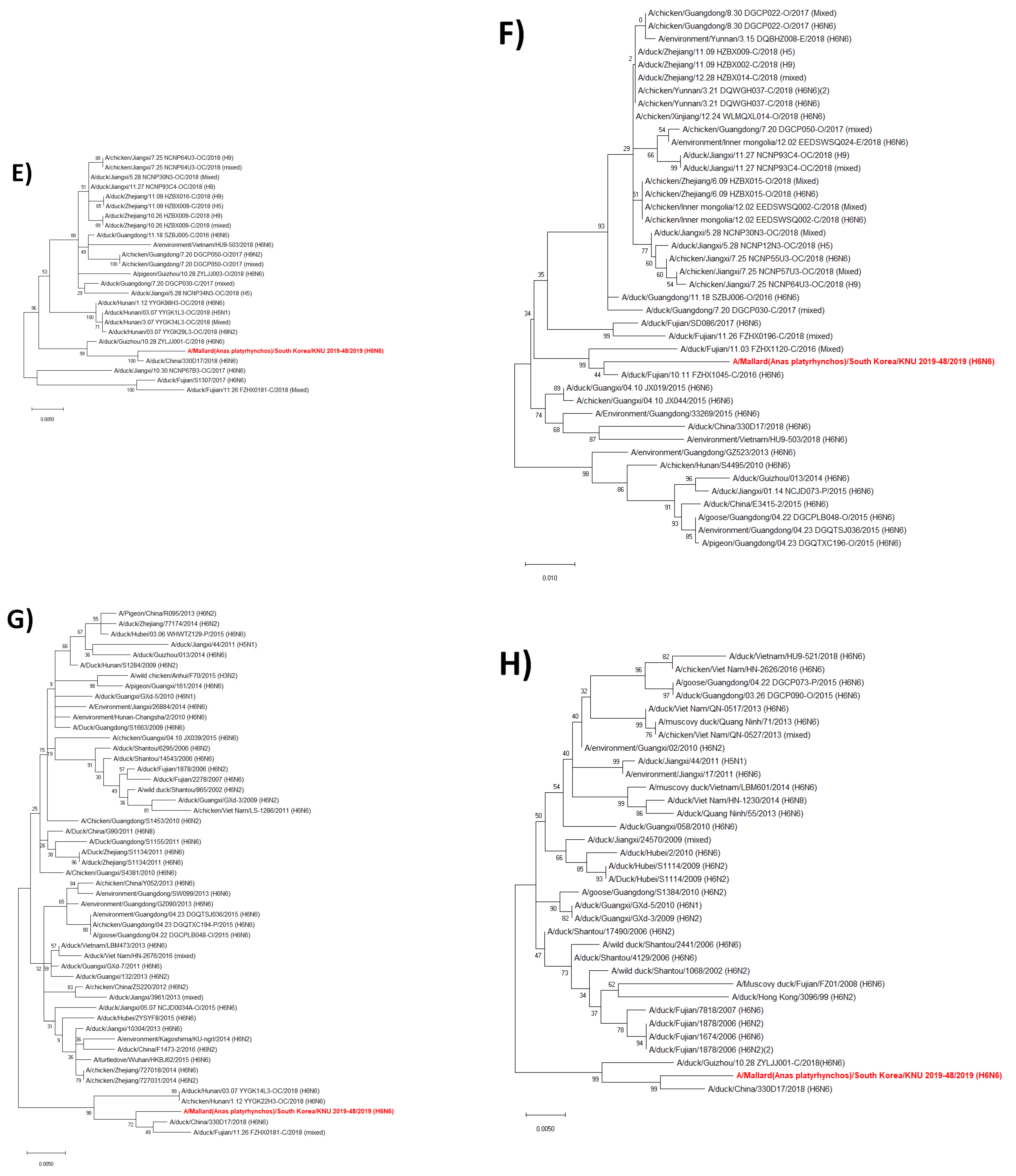 Viruses 14 01001 g002b