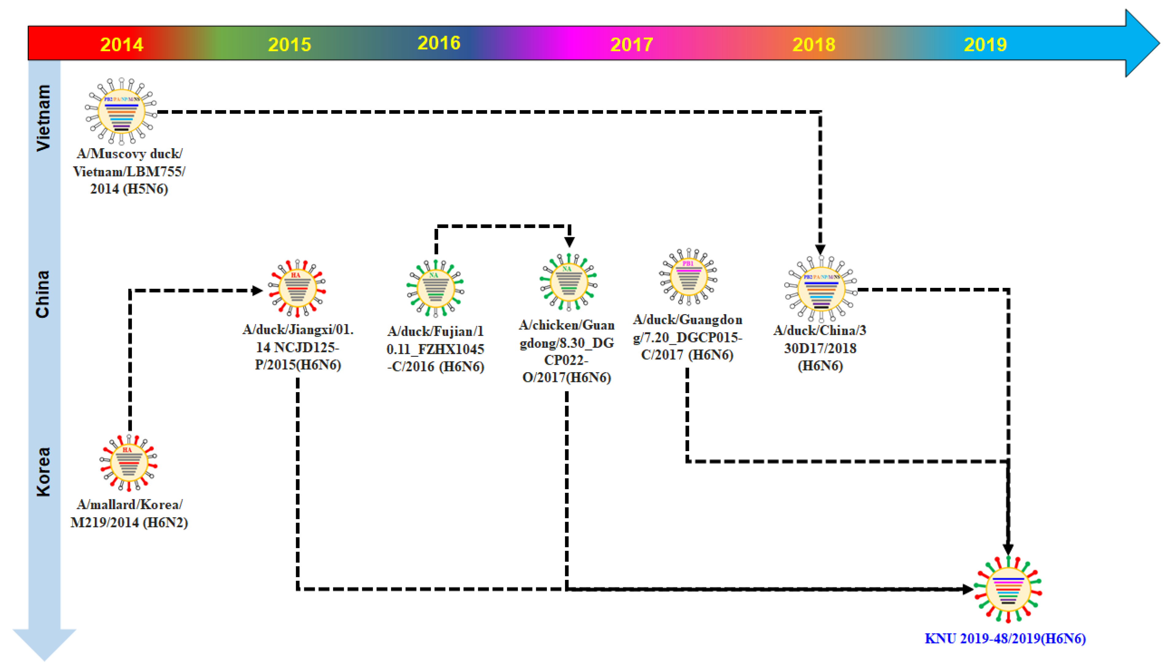 Viruses 14 01001 g004