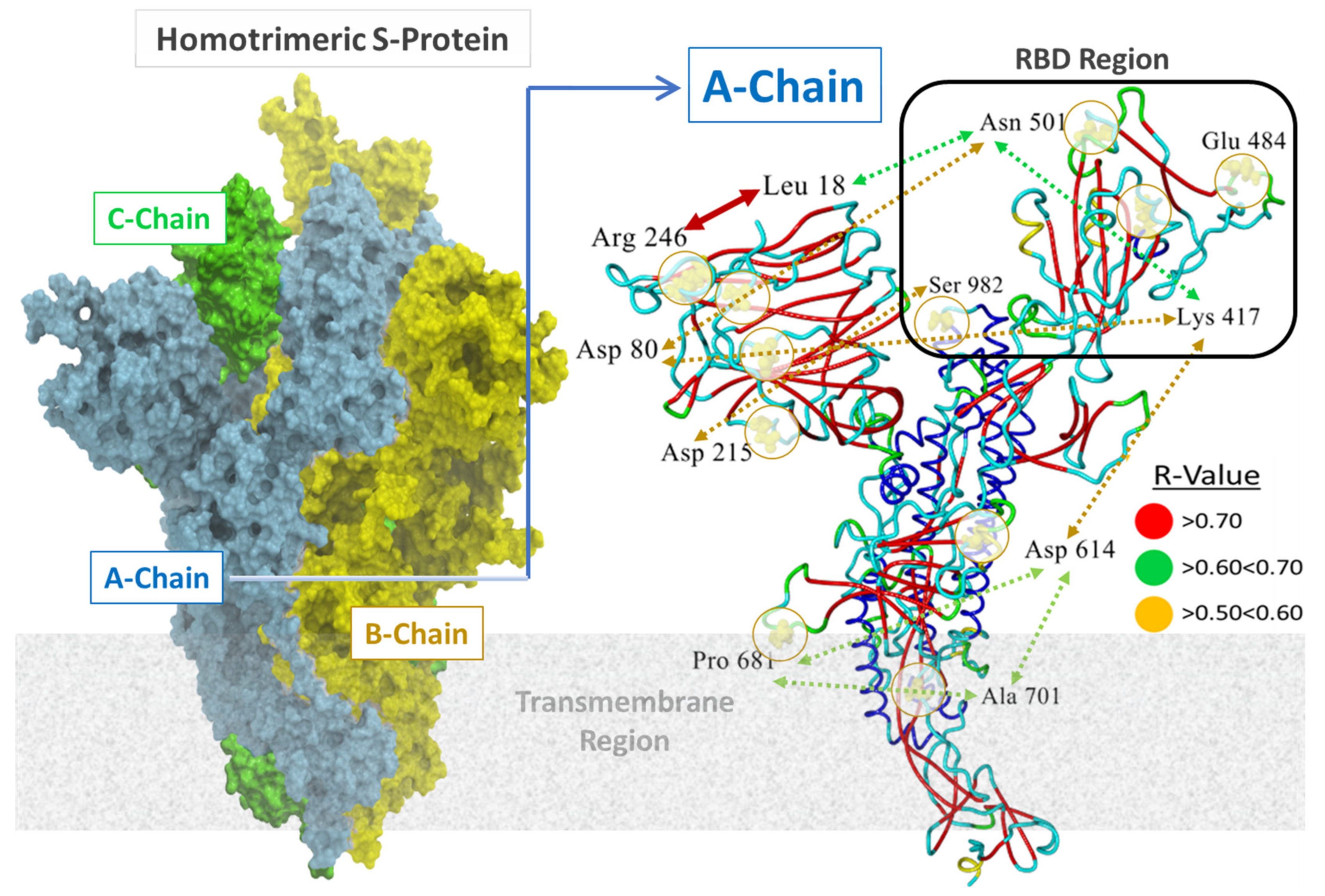 Viruses 14 01029 g002