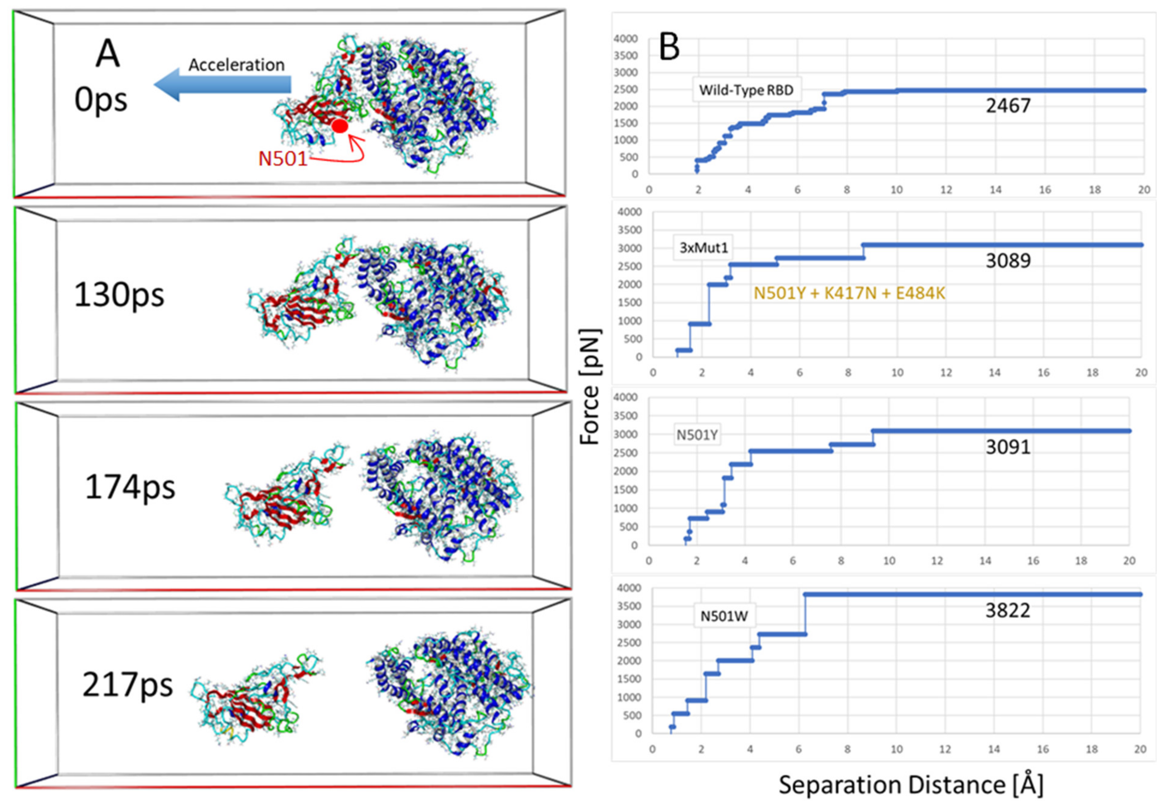 Viruses 14 01029 g008