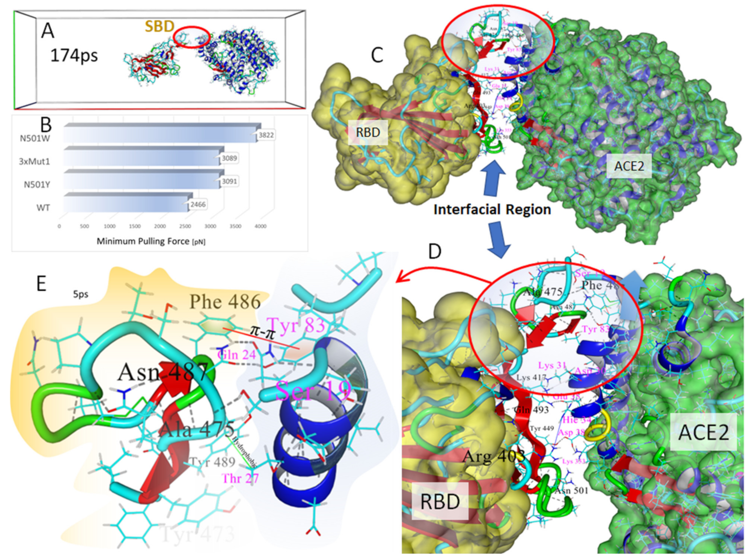 Viruses 14 01029 g009