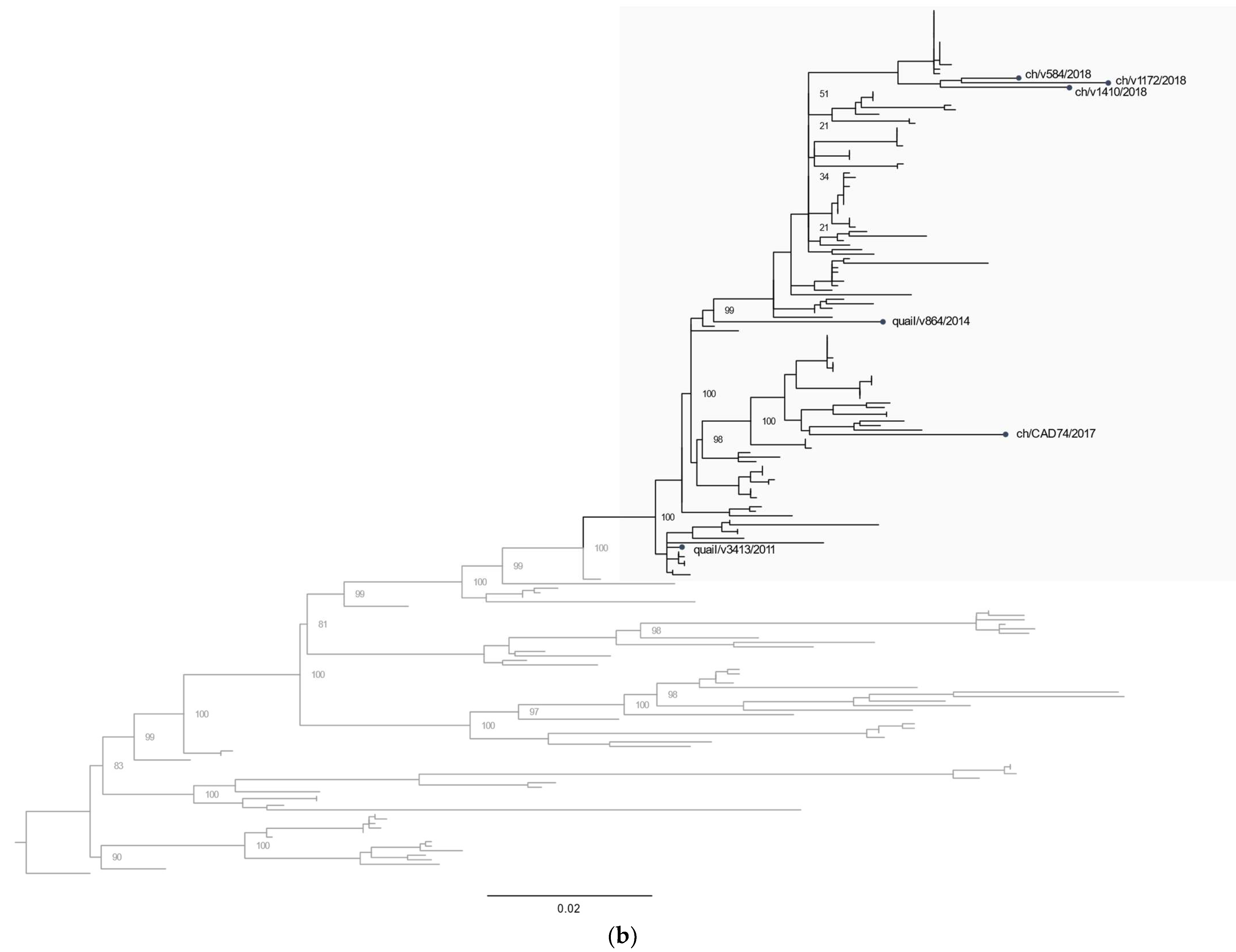 Viruses 14 01030 g002b