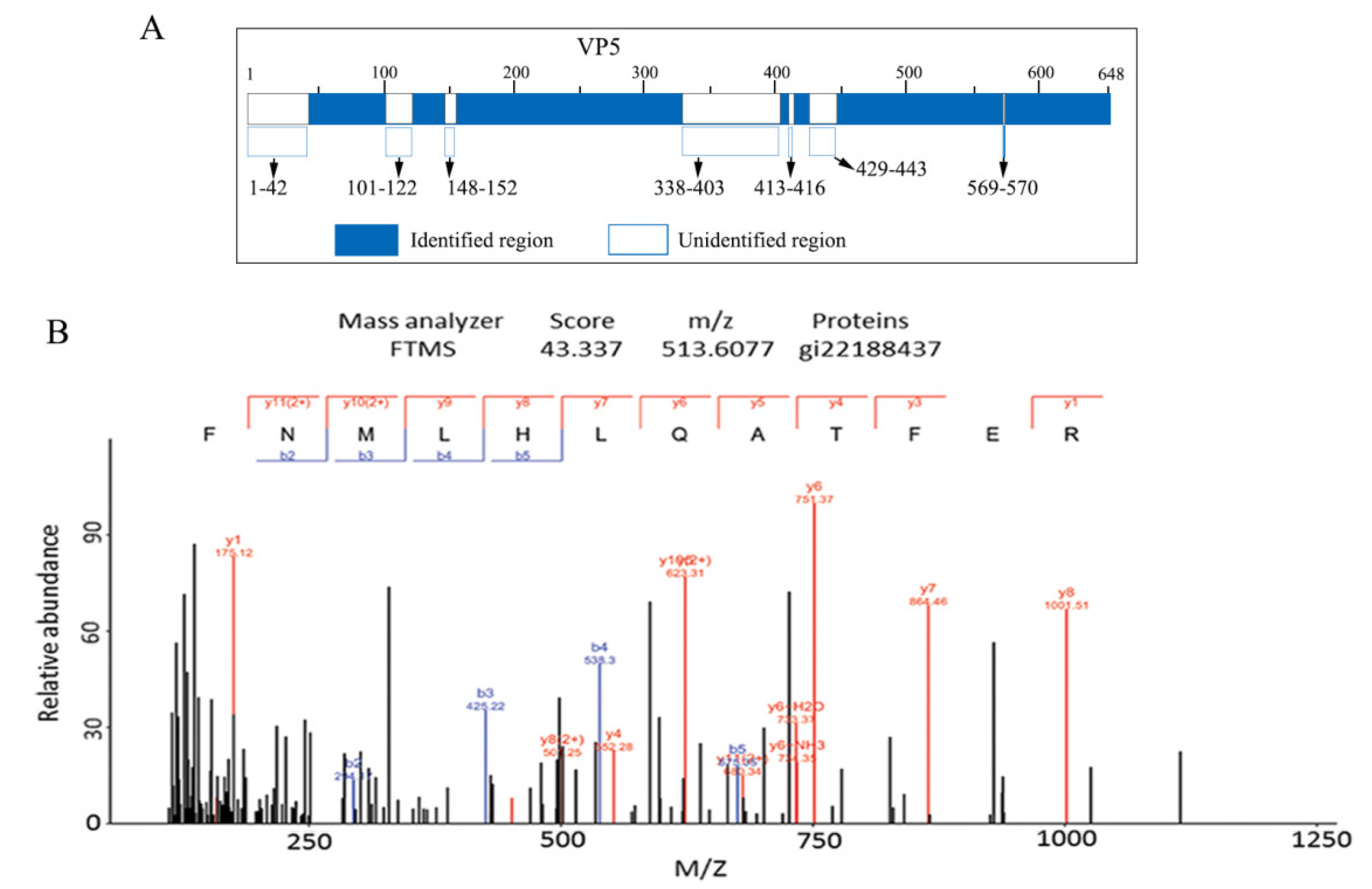 Viruses 14 01032 g002