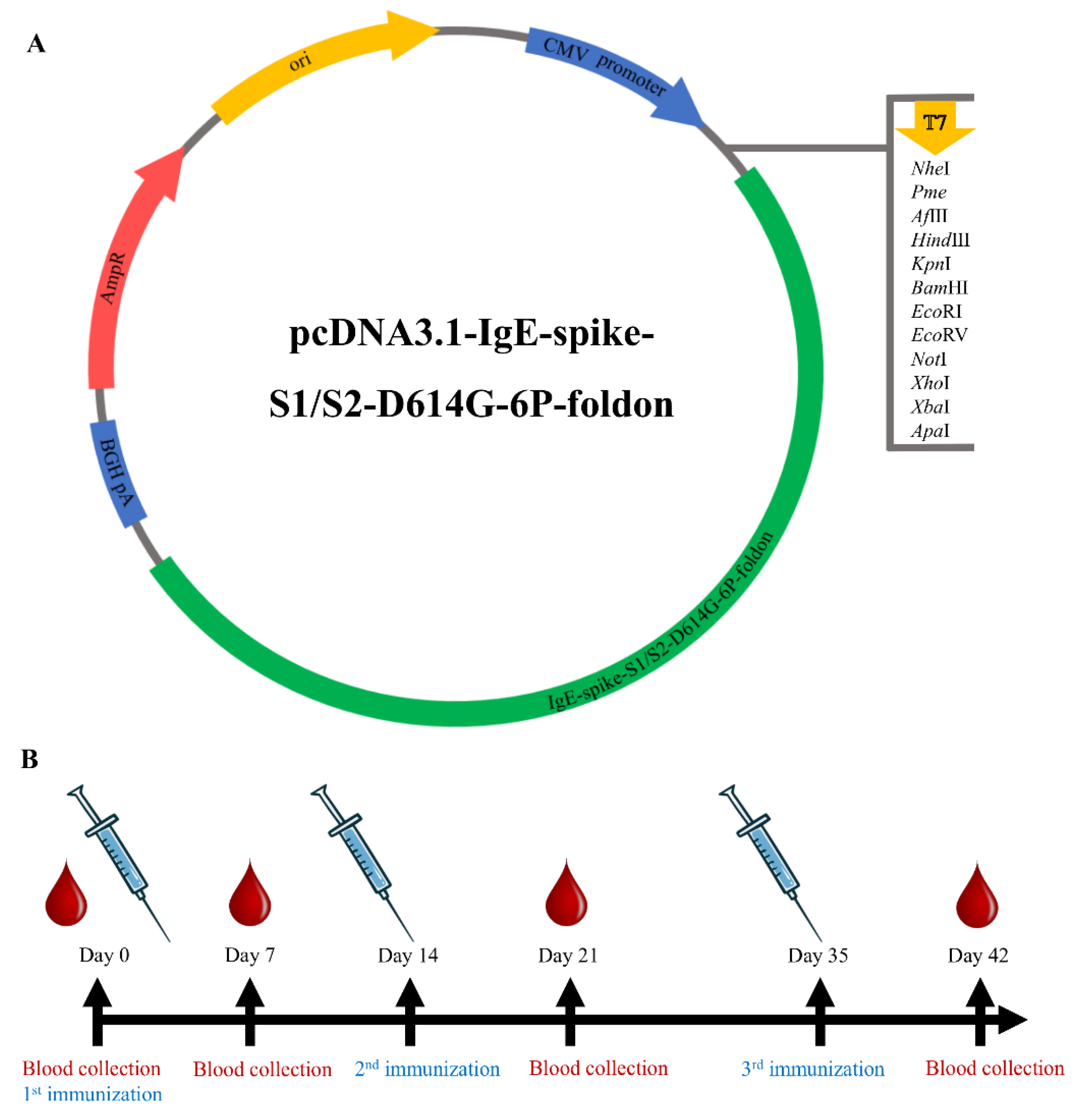 Viruses 14 01049 g001