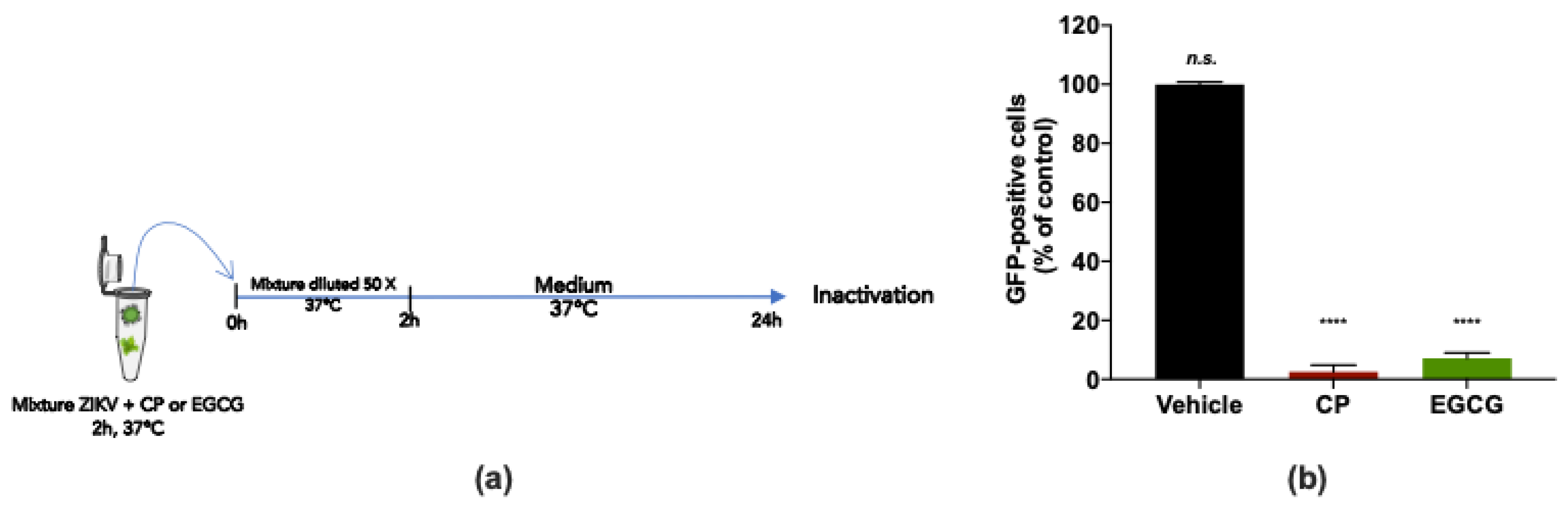 Viruses 14 01101 g005