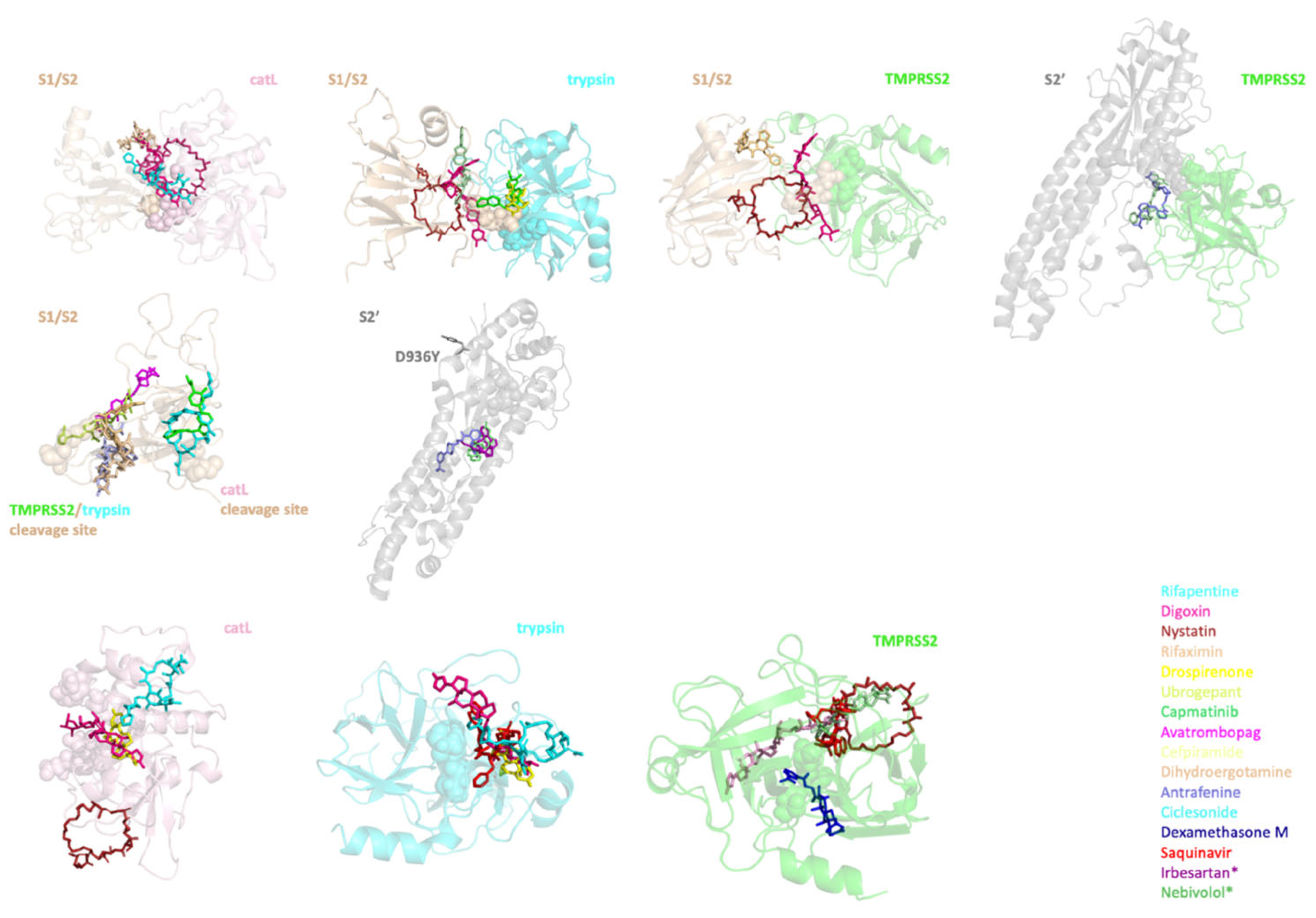 Viruses 14 01129 g005