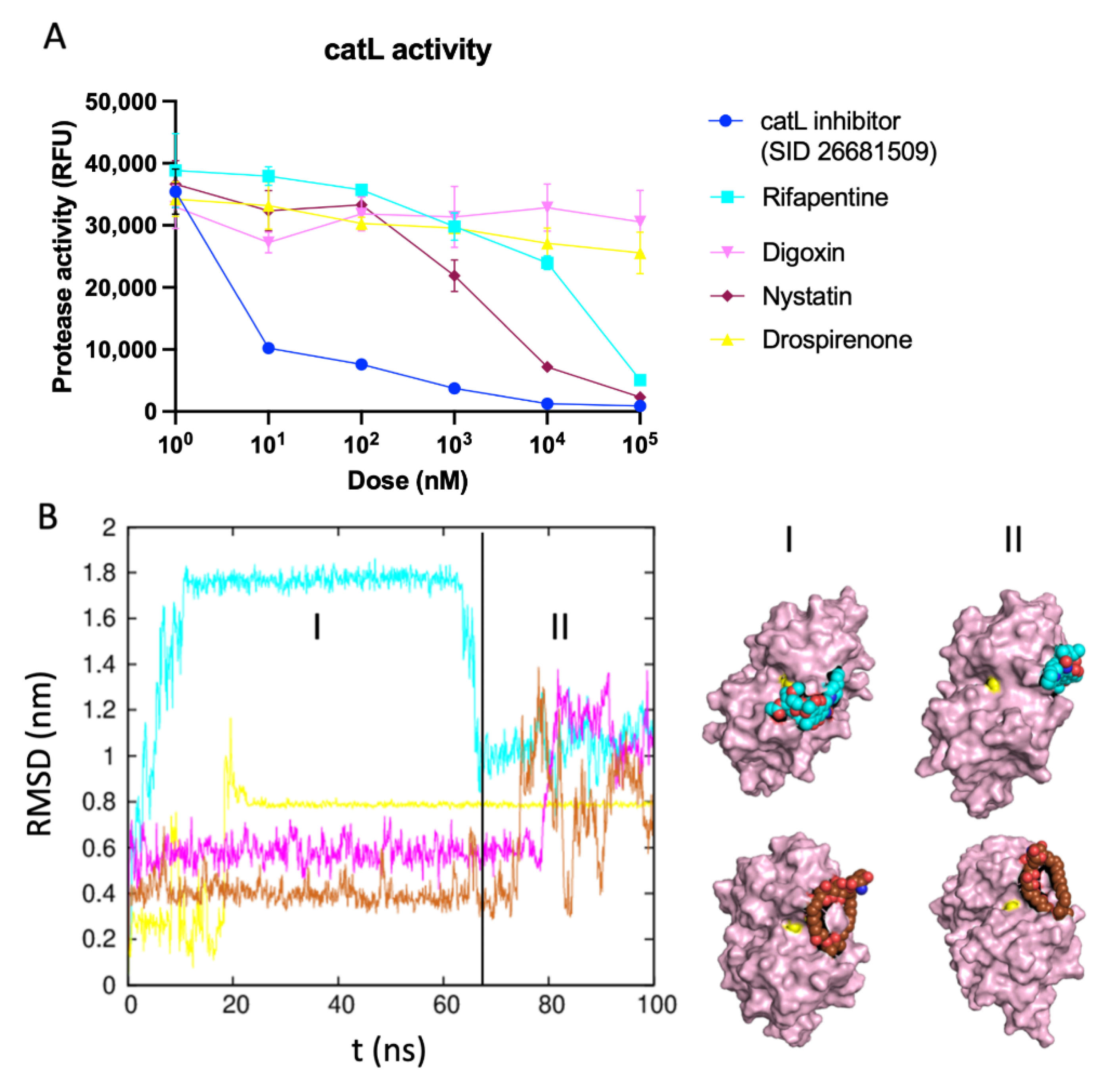 Viruses 14 01129 g006