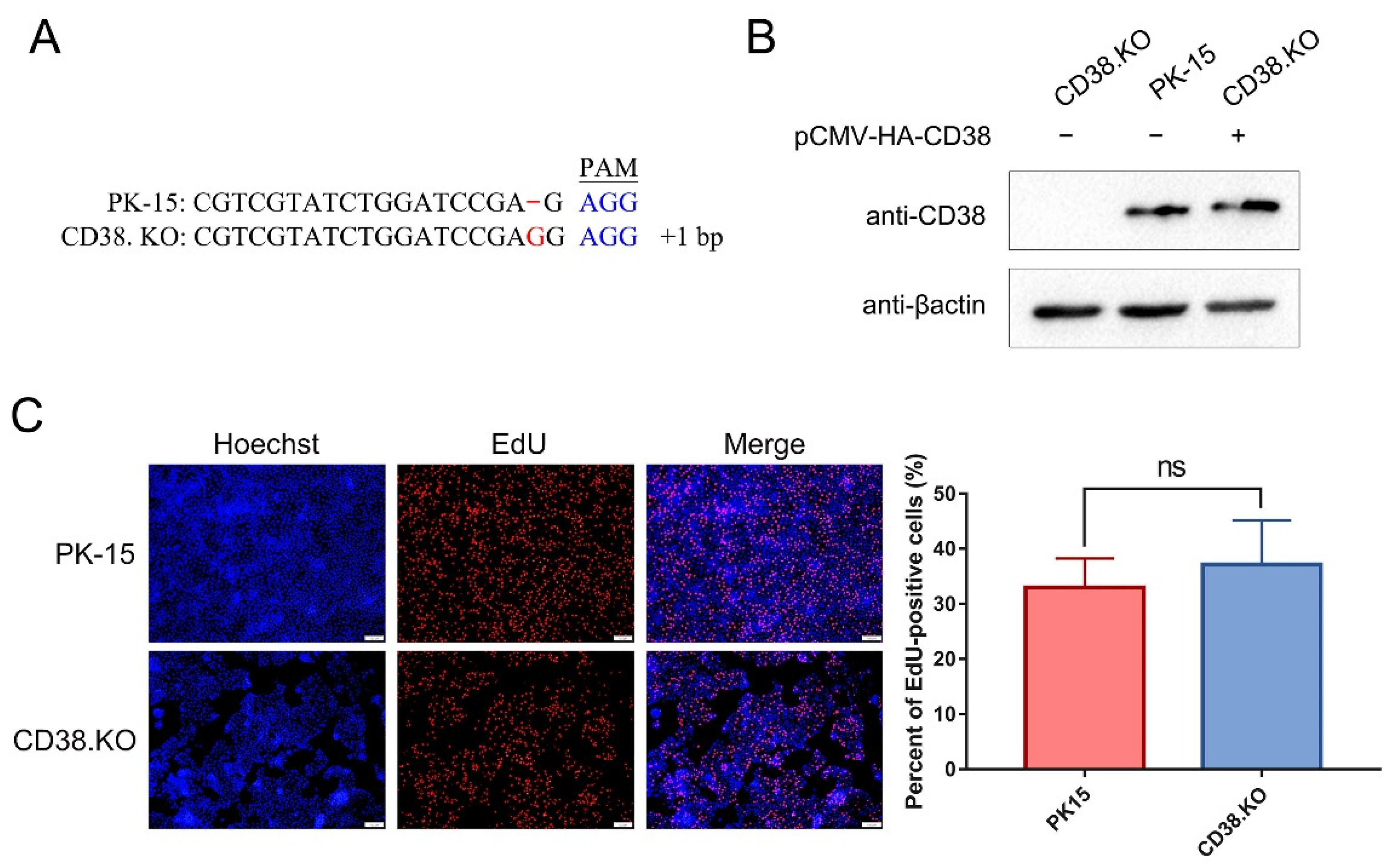 Viruses 14 01136 g001