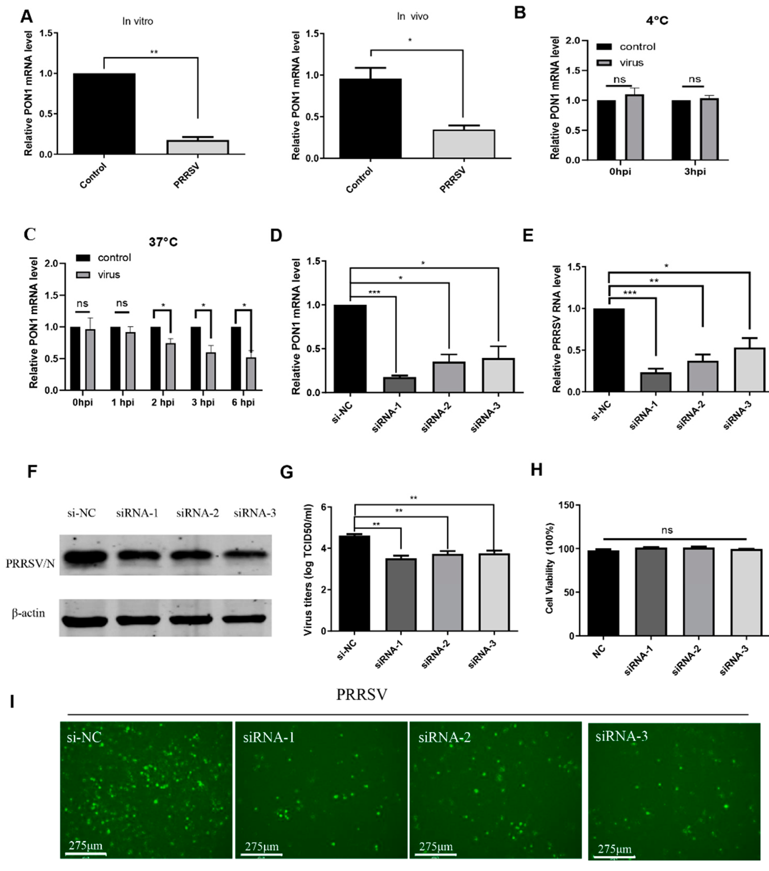 Viruses 14 01203 g001