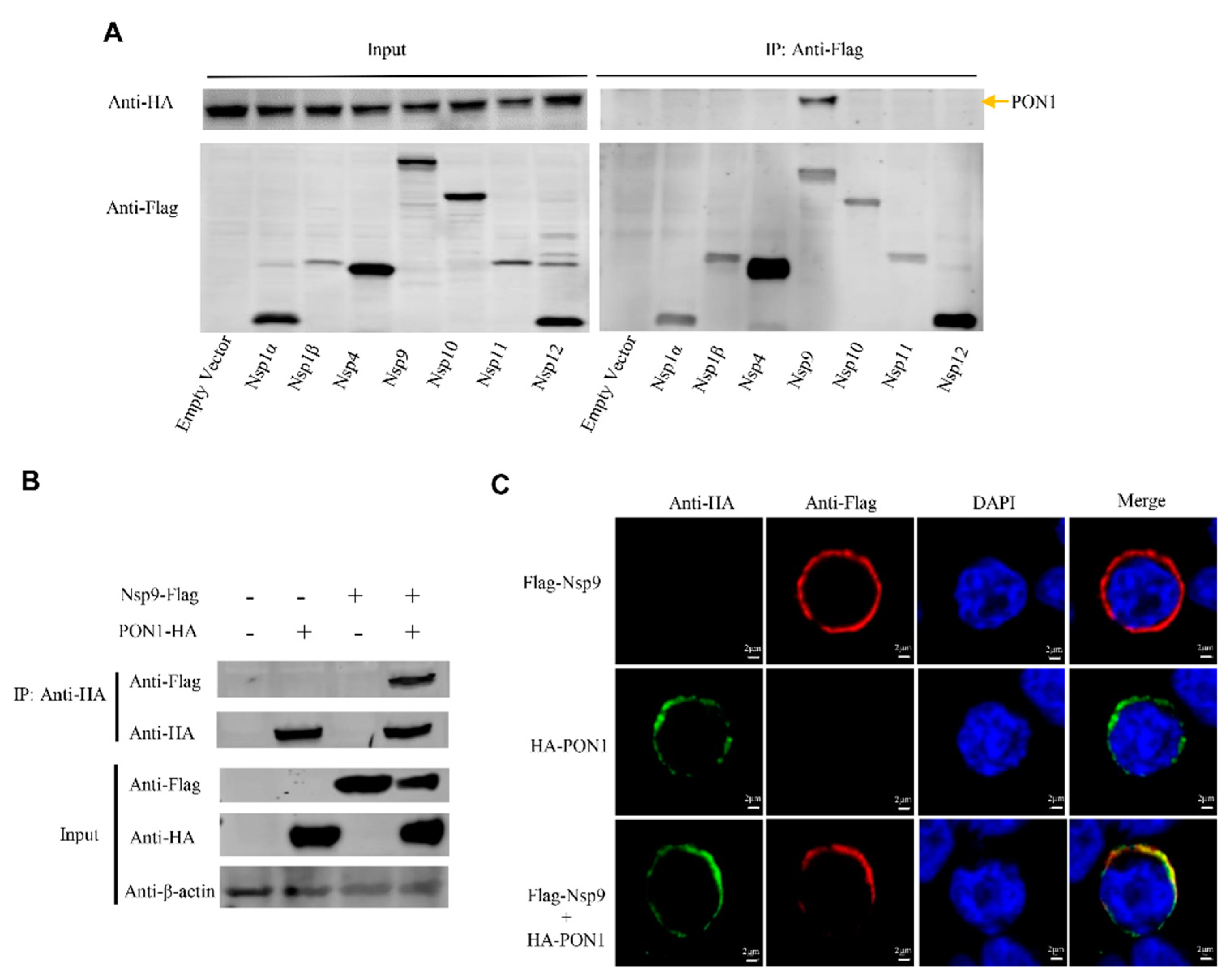 Viruses 14 01203 g004